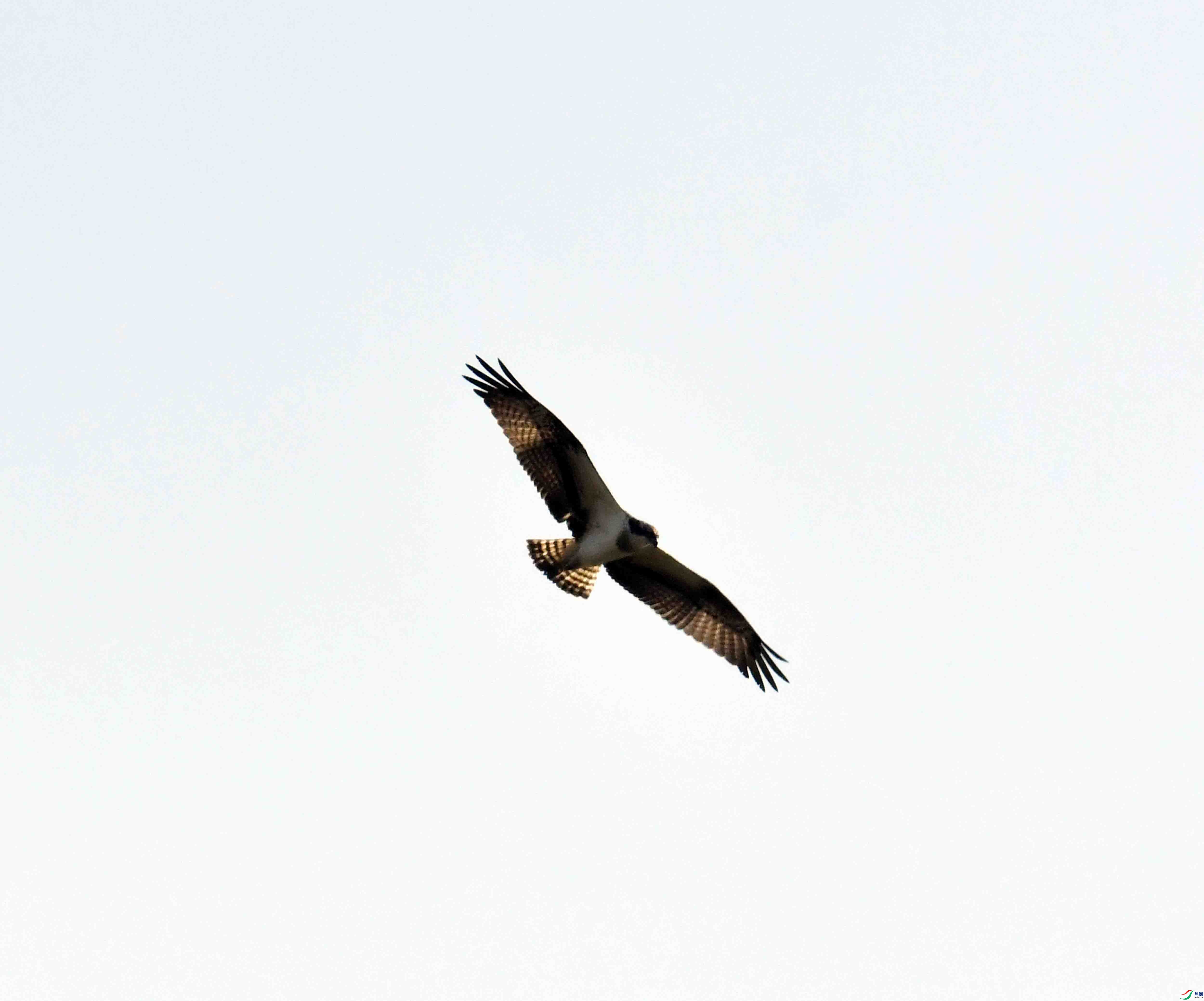 DSC_5228.JPG