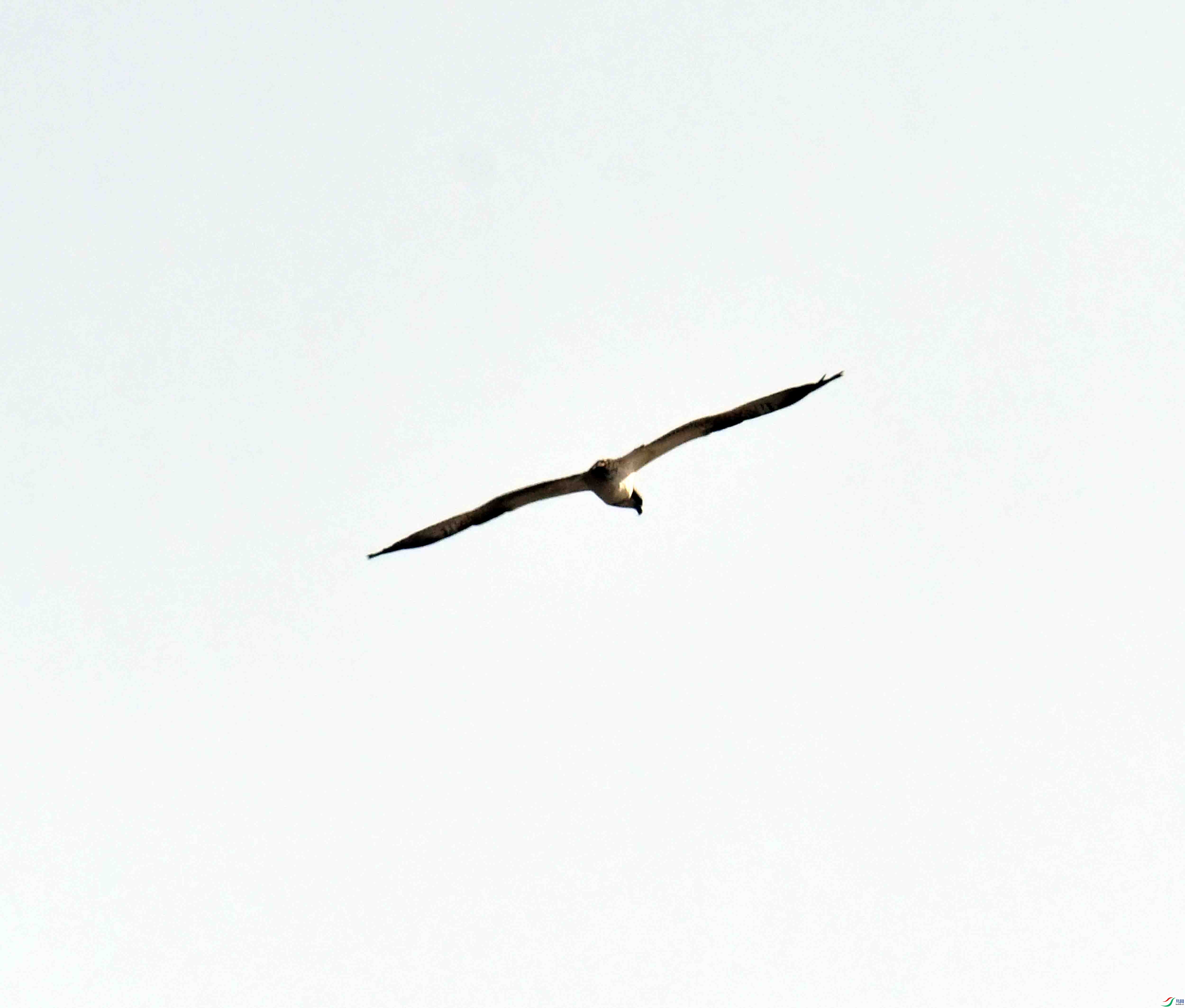 DSC_5233.JPG