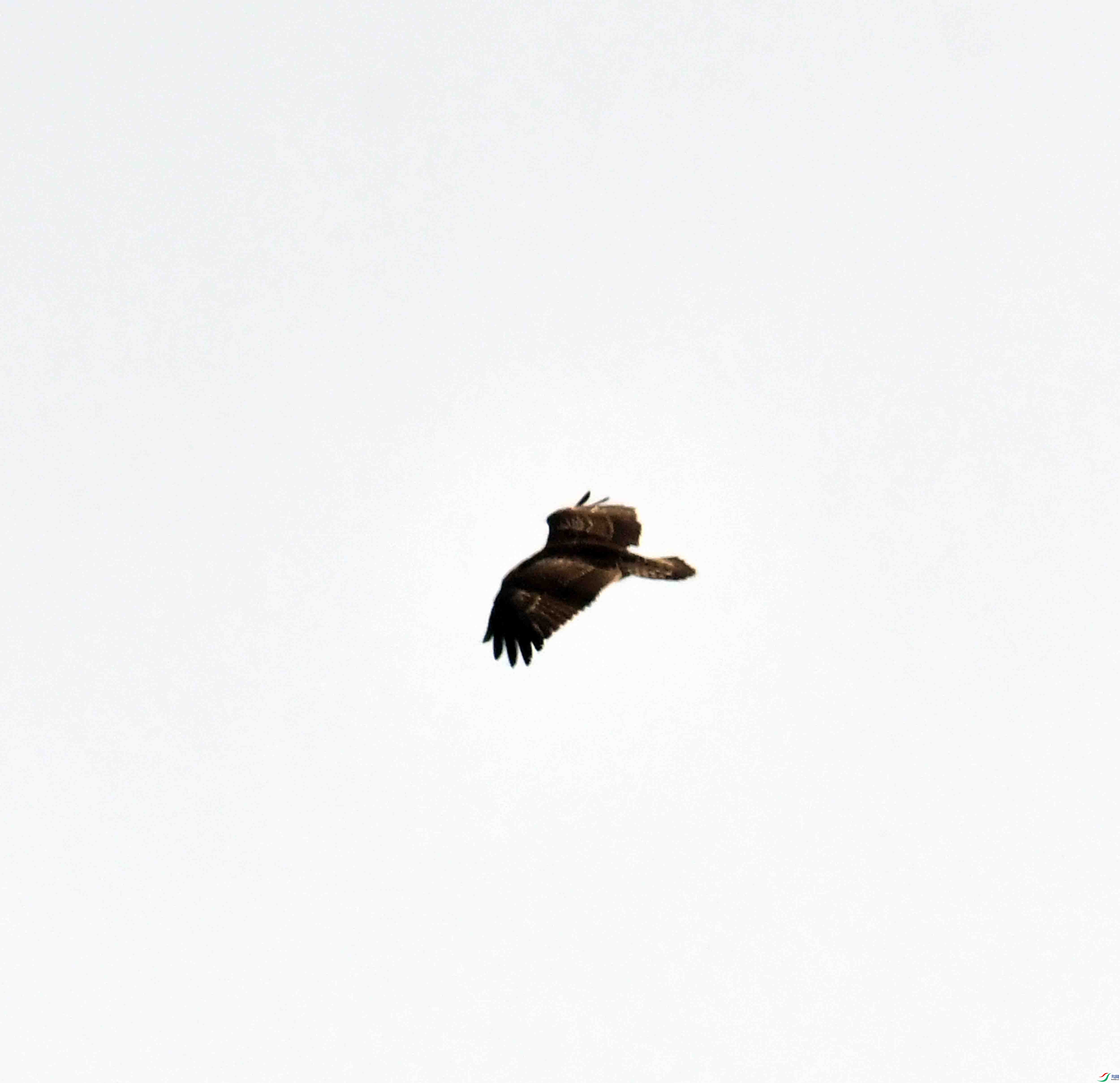 DSC_5237.JPG