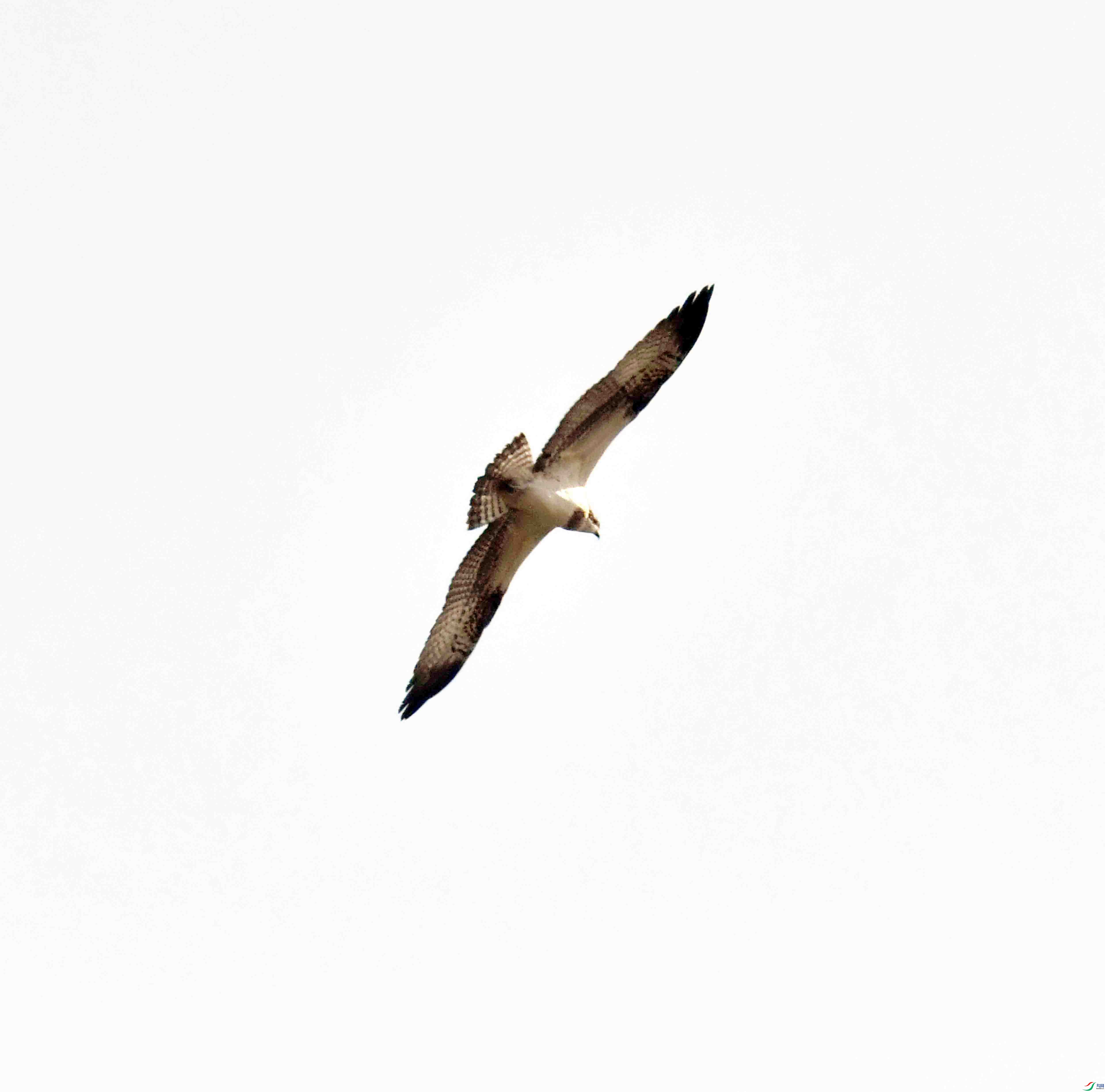 DSC_5243.JPG