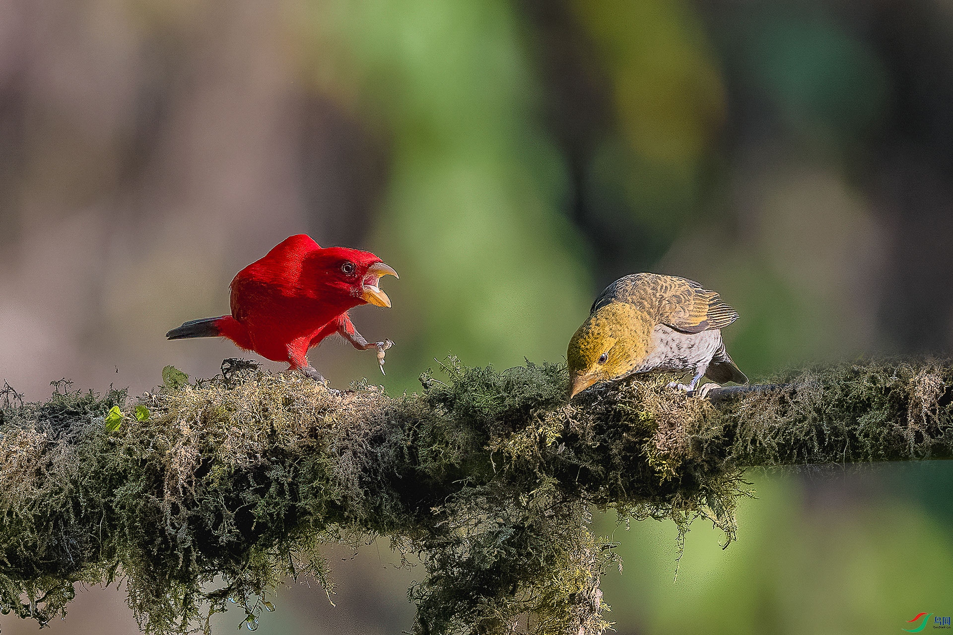 _DSC8001 ����_1.jpg