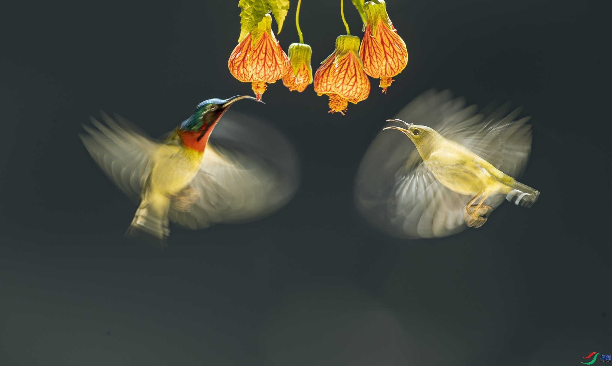 ��������  ���� ���� ��һ.jpg