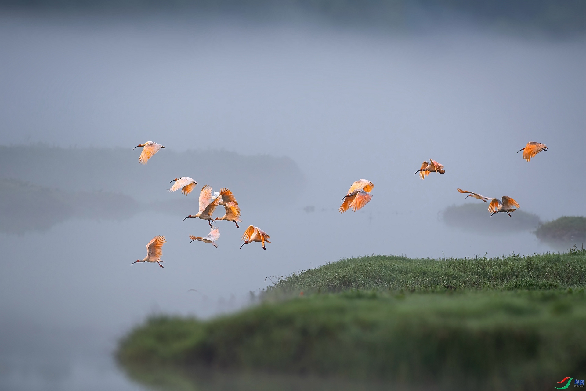 ���з� ���������� �ܶ�.jpg