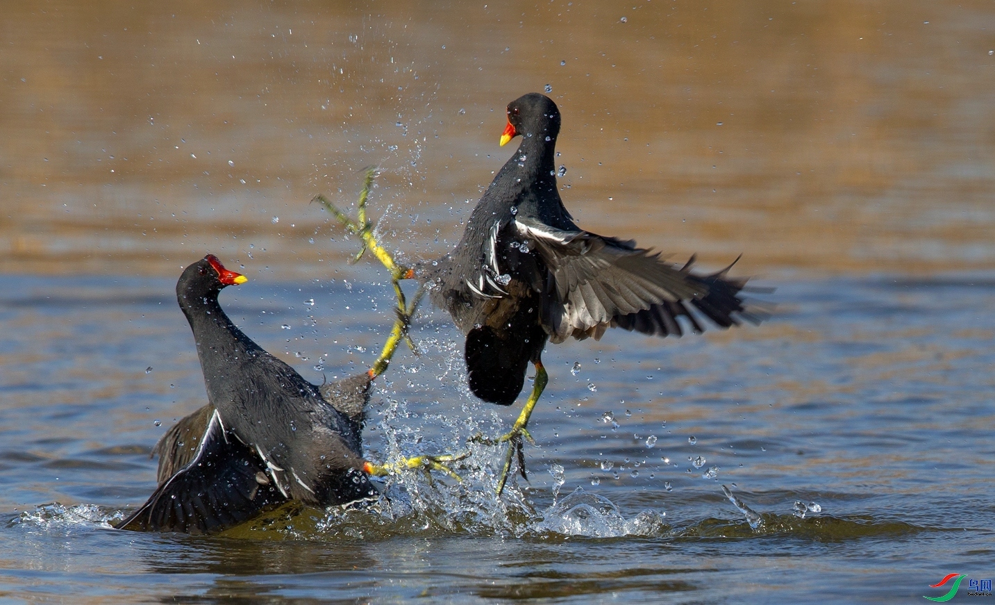 ��ս ���� ��Х �ܶ�.jpg