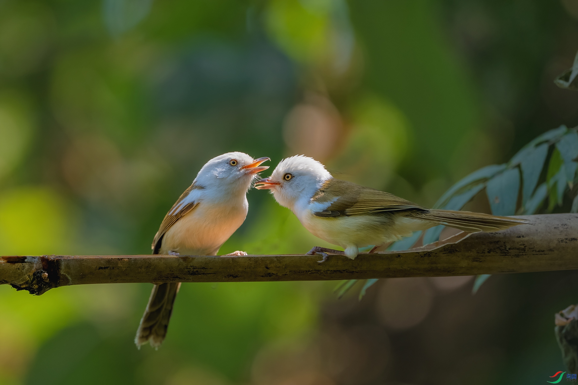 _DSC0587 ����.jpg