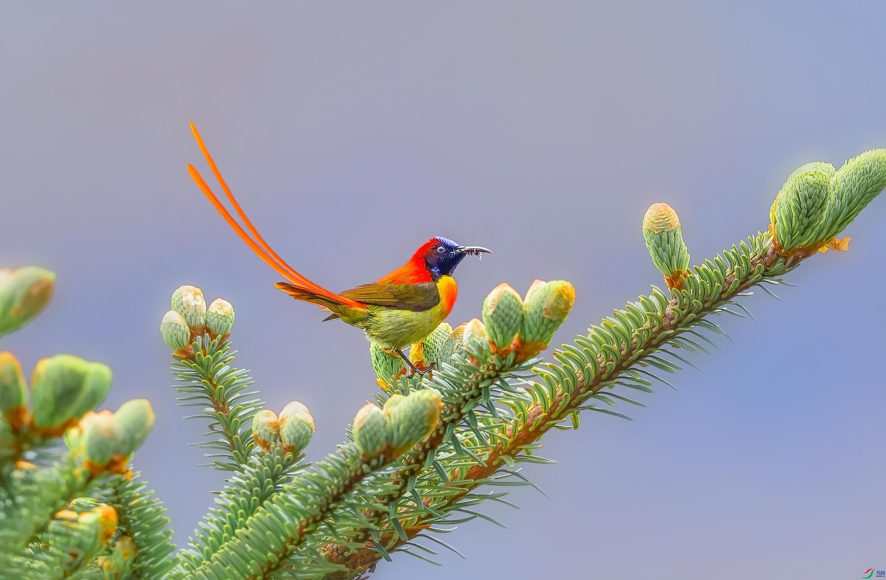 ��β̫���� ���� �ܸ� ����.jpg