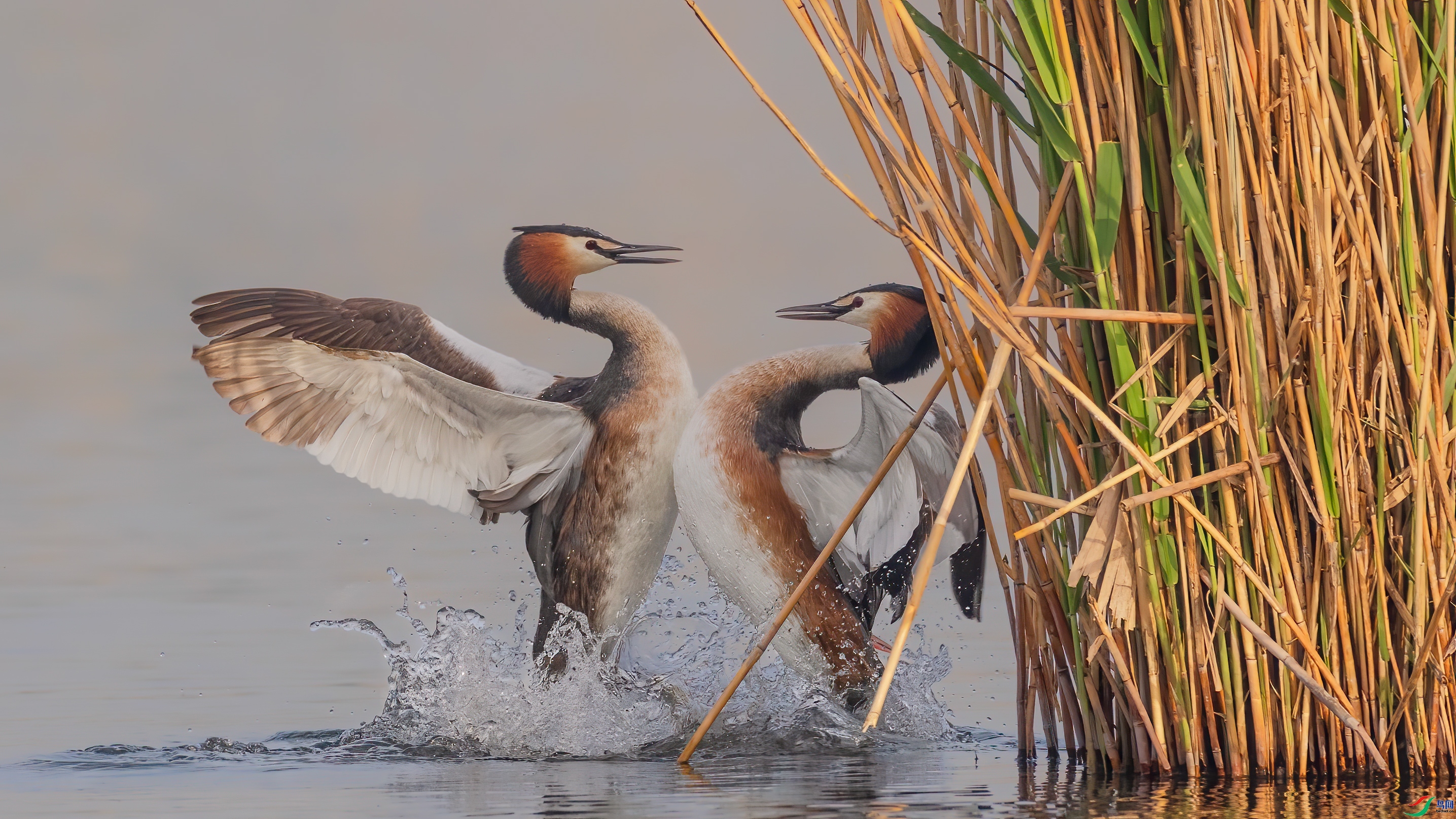 ���֮�� ���� �Ű� ����.jpg