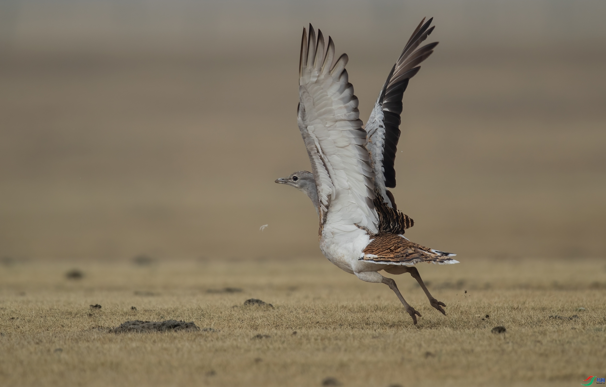 ��ȥҲ-��� ���� һ·���� ����.jpg