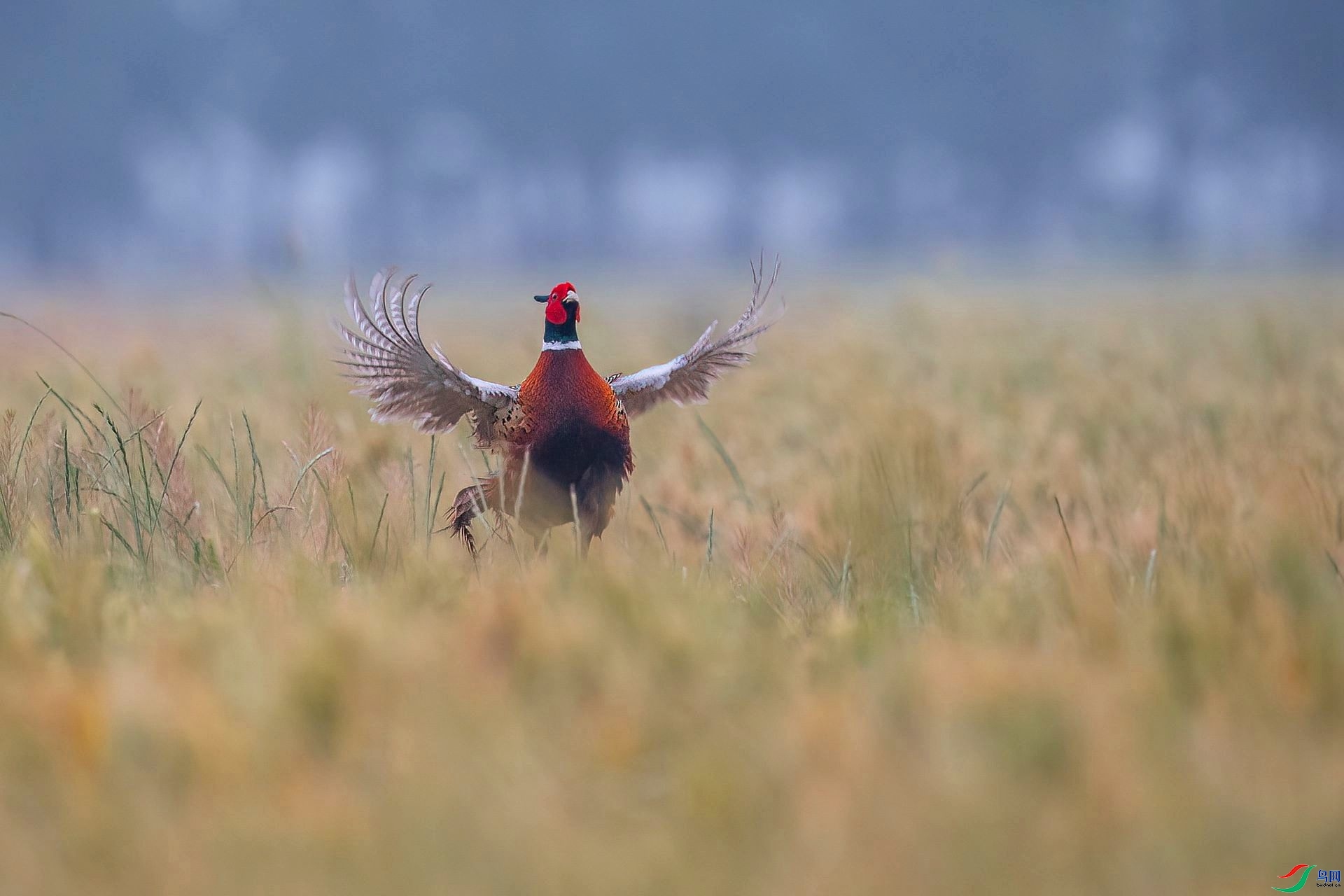 ���� ���� ��ѧ�� ����.jpg