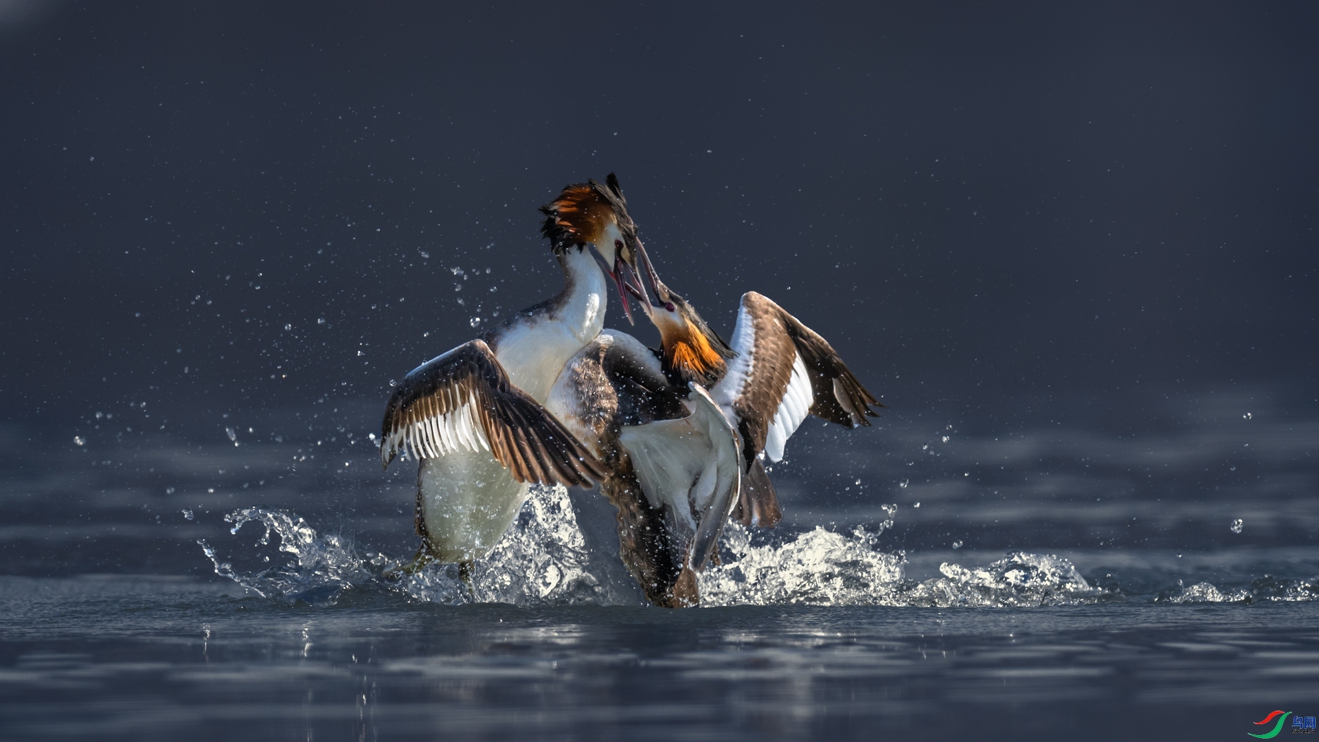 ���� ���� ���� ����.jpg