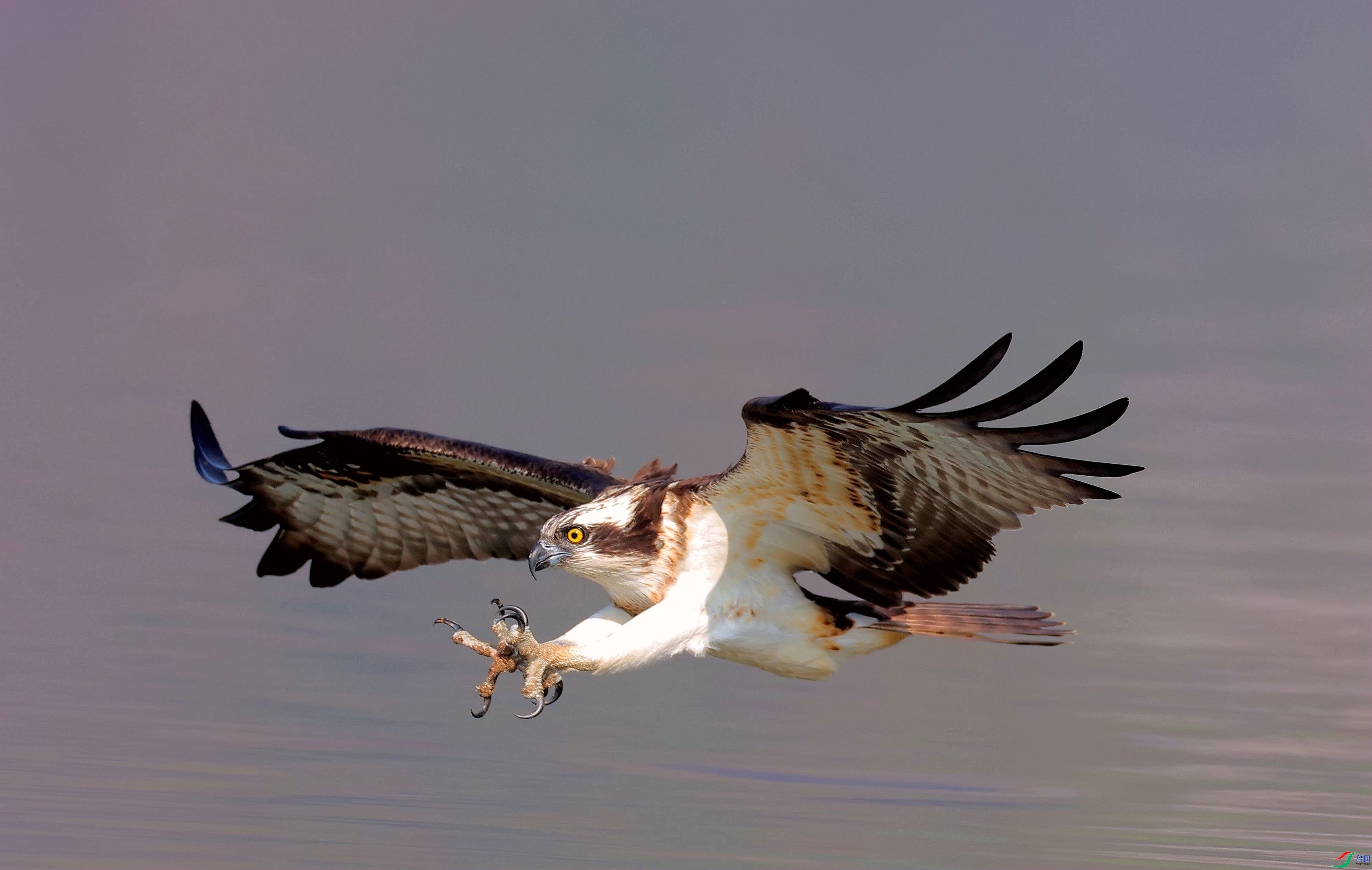 ���� ���� ɭ�֣����֣�����.jpg