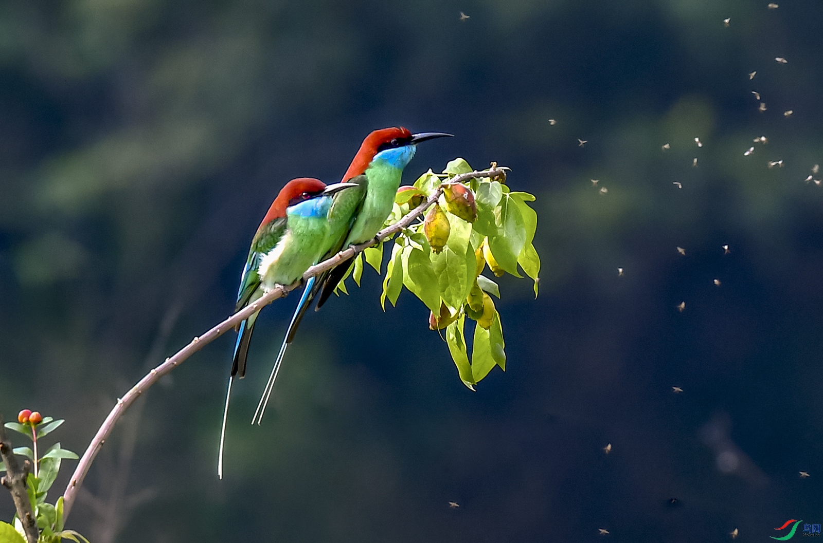 DSC_5631.jpg