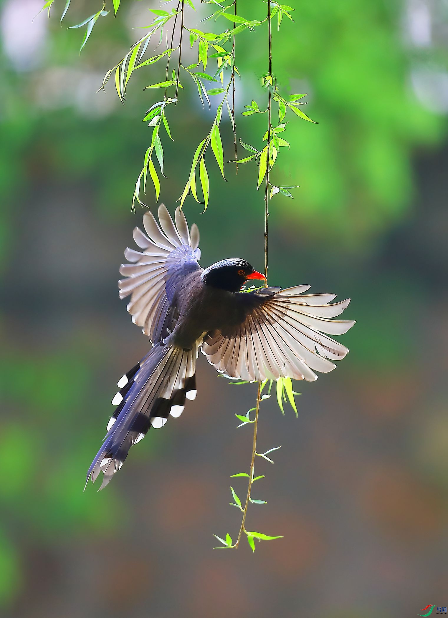 B43I5833-SharpenAI-Motion.jpg