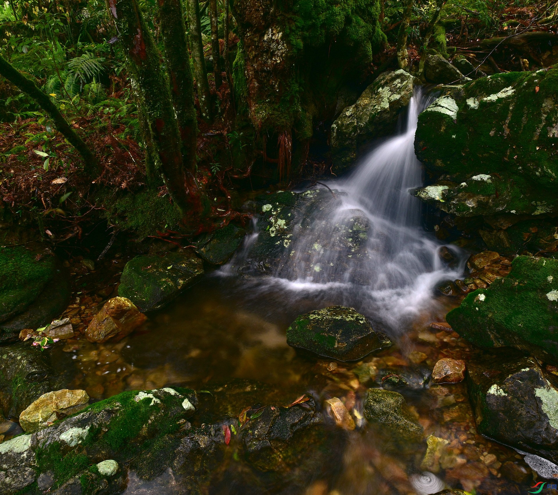 D8I_9738.jpg