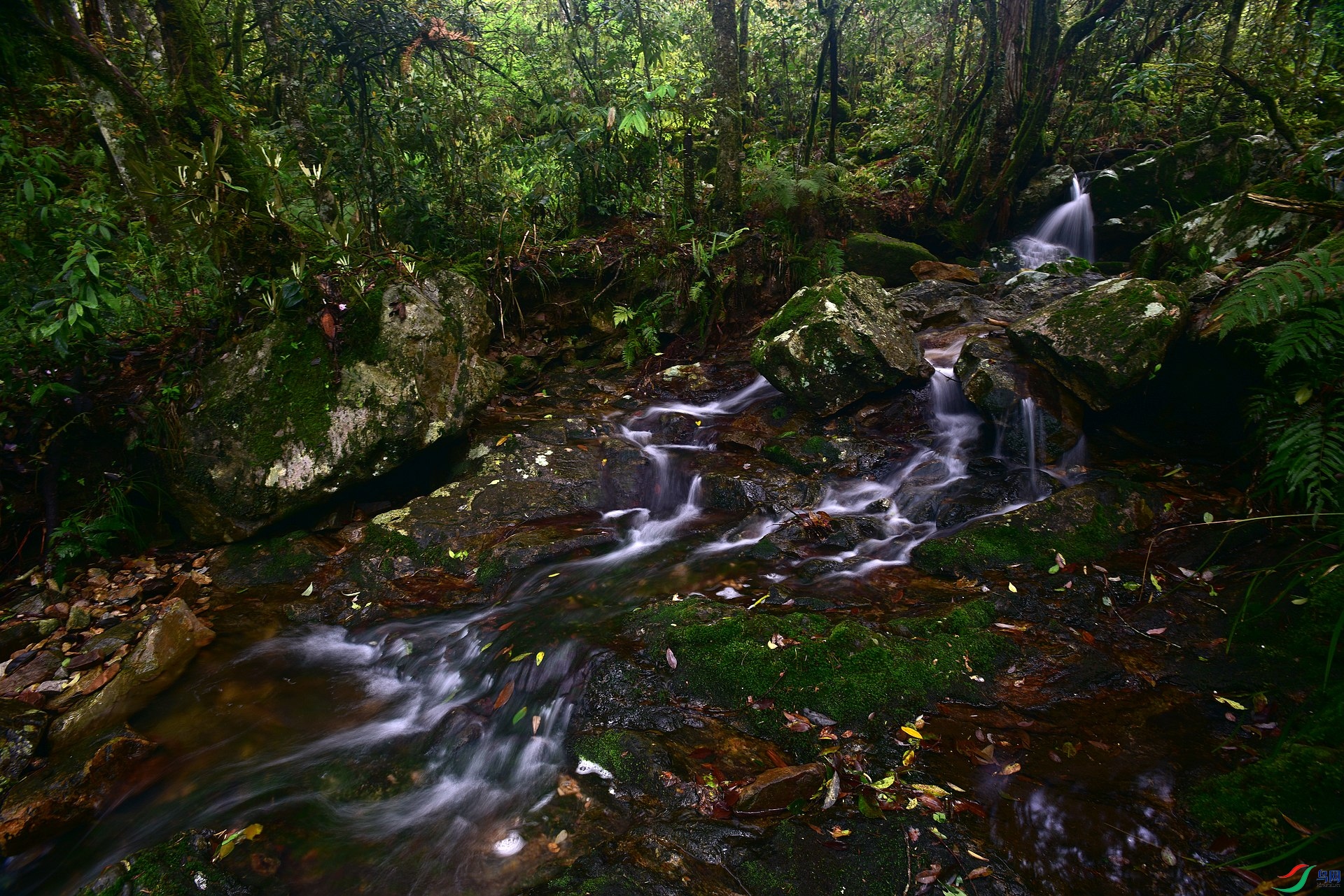D8I_9735.jpg