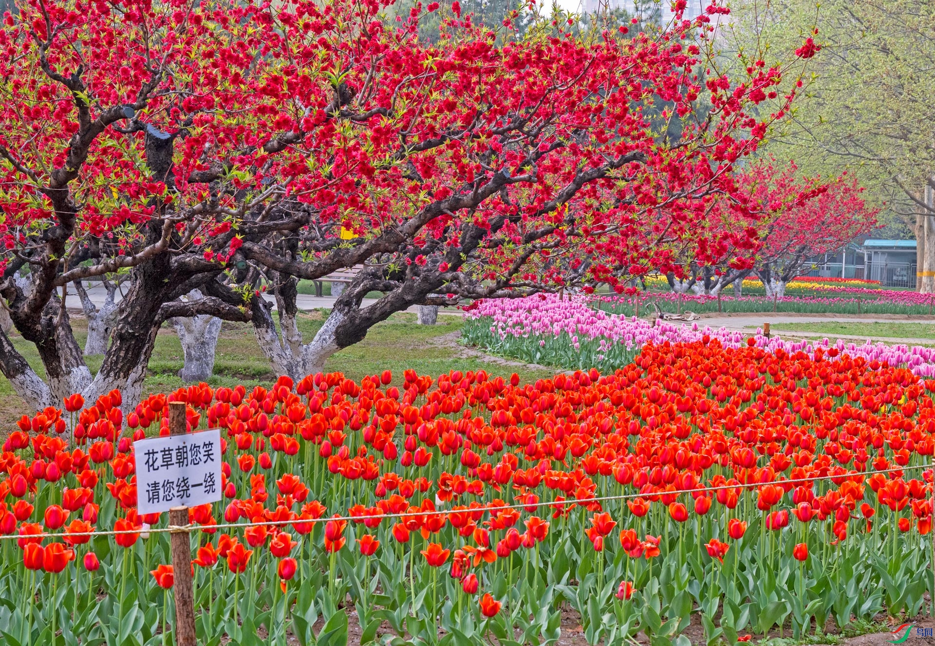 DSC_2129=.jpg