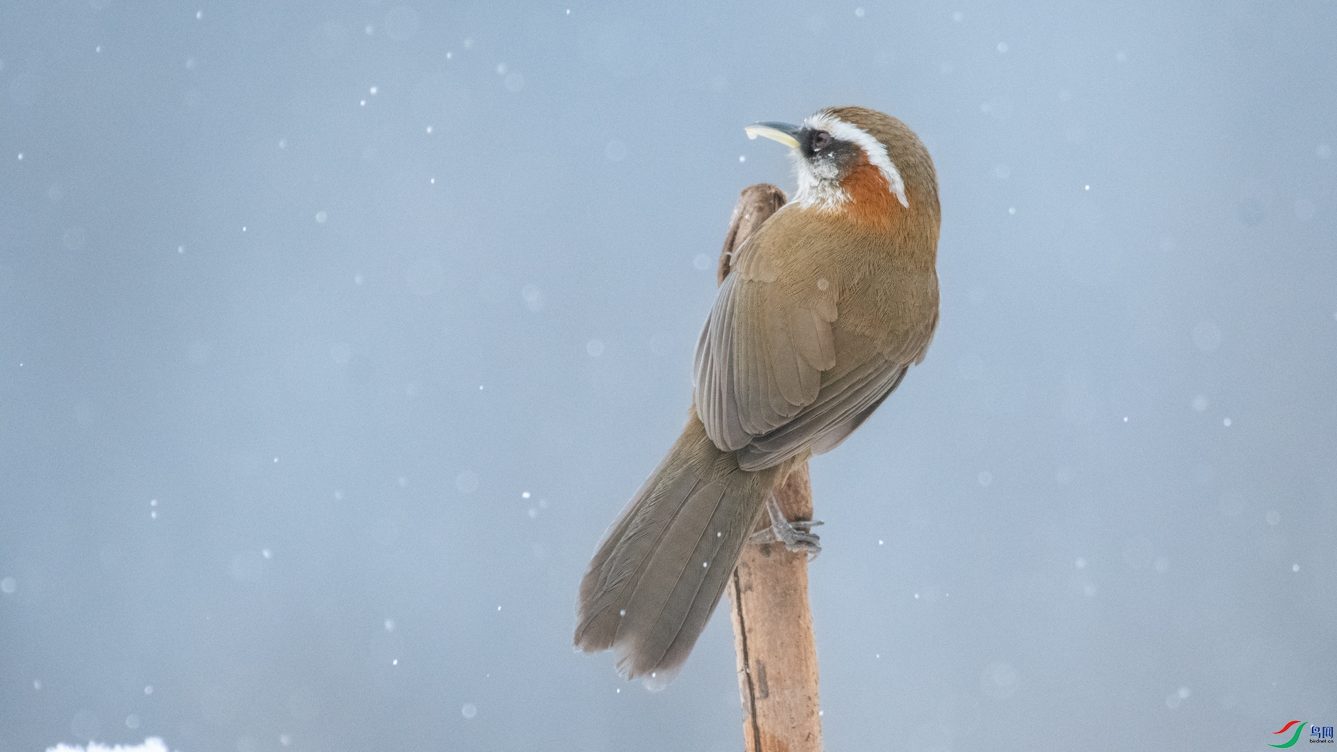DSC_2263.jpg