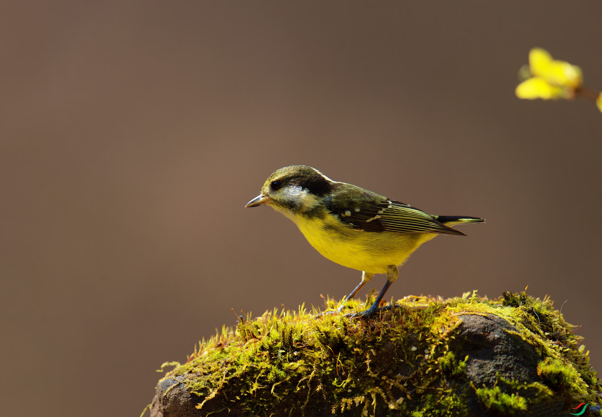 DSC_8660-1.jpg