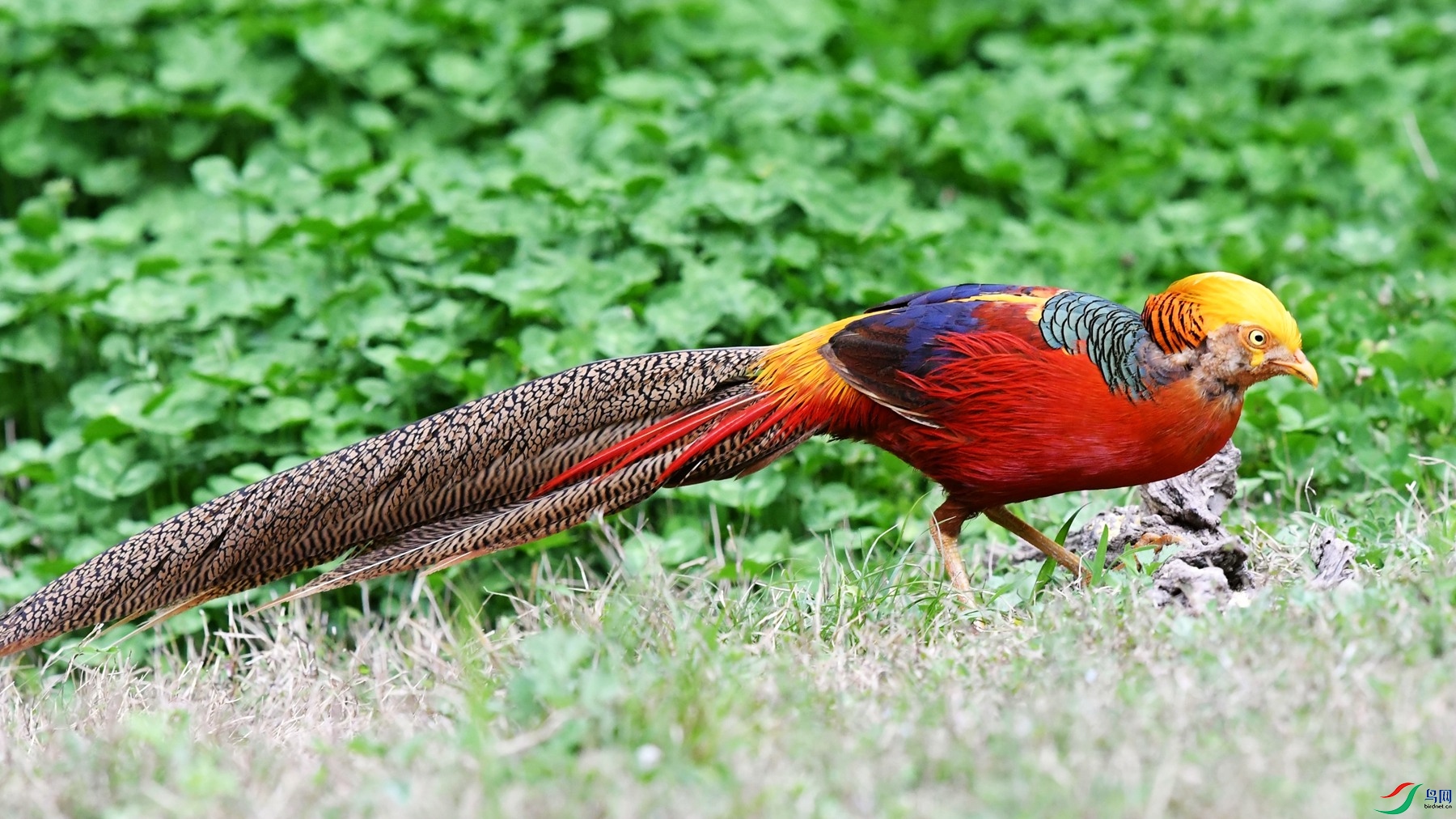 DSC_6837_����.jpg
