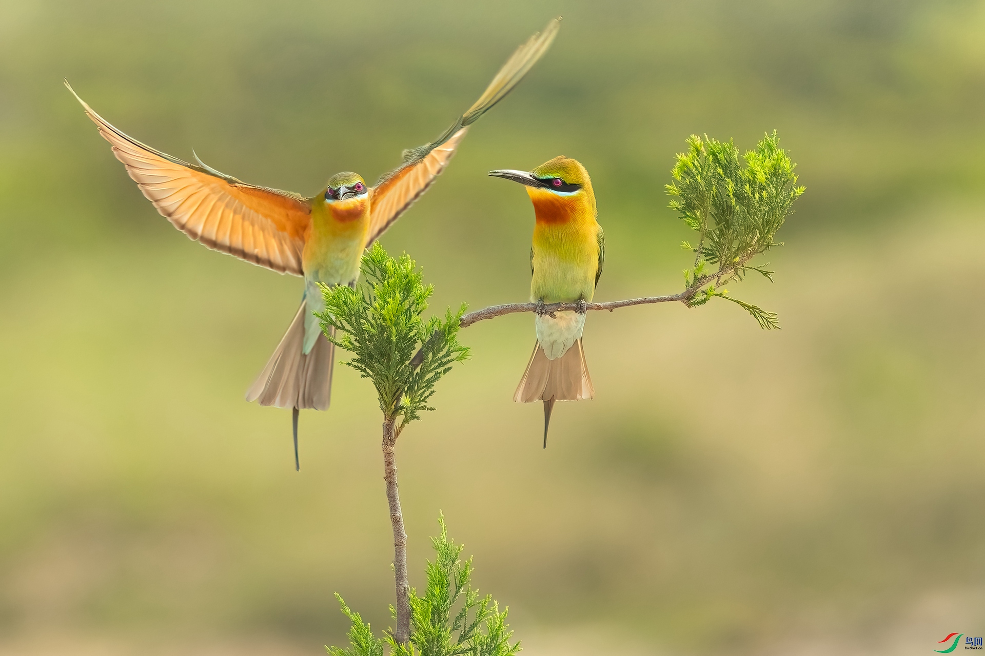 B86I4906 _����.jpg