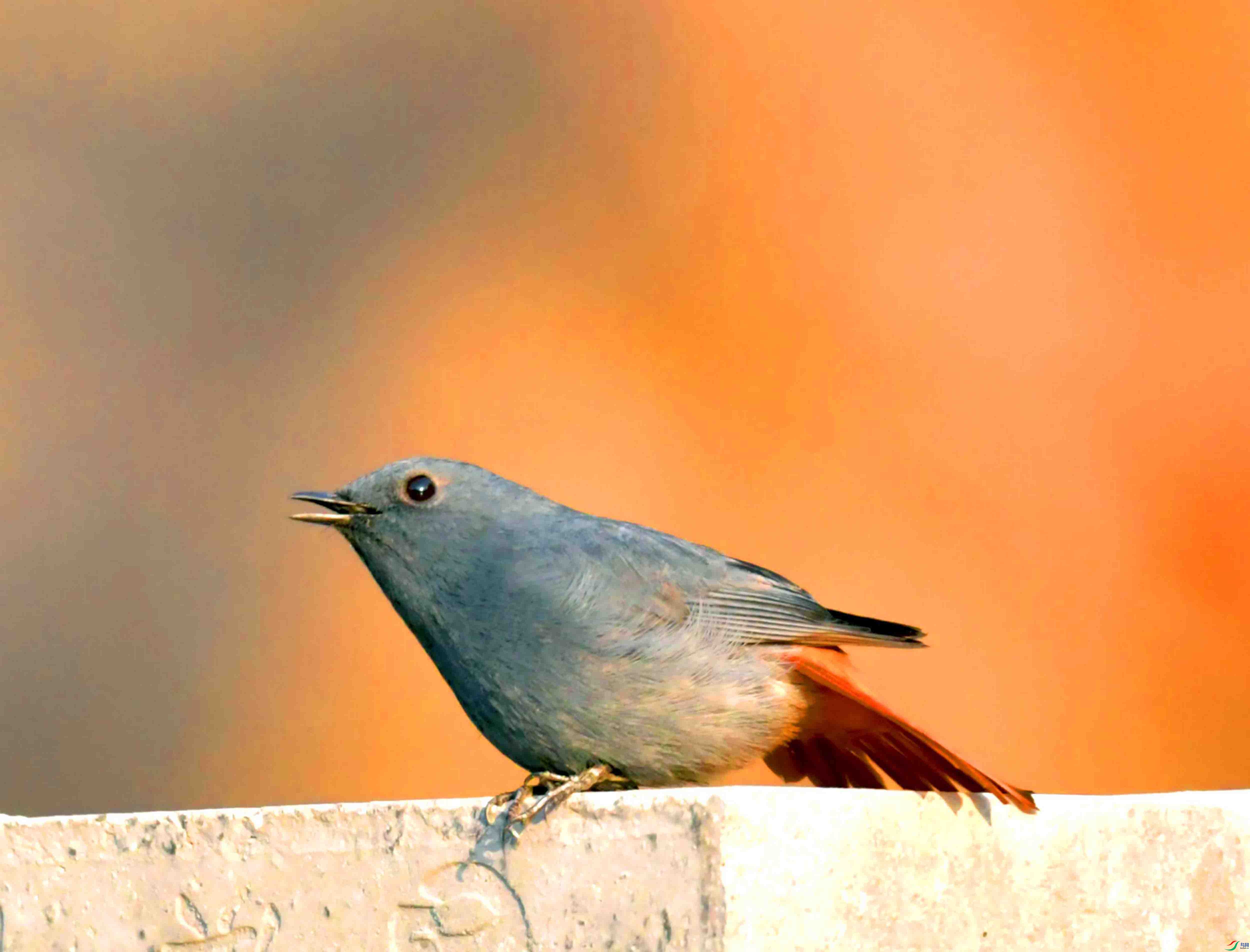 DSC_8641.JPG
