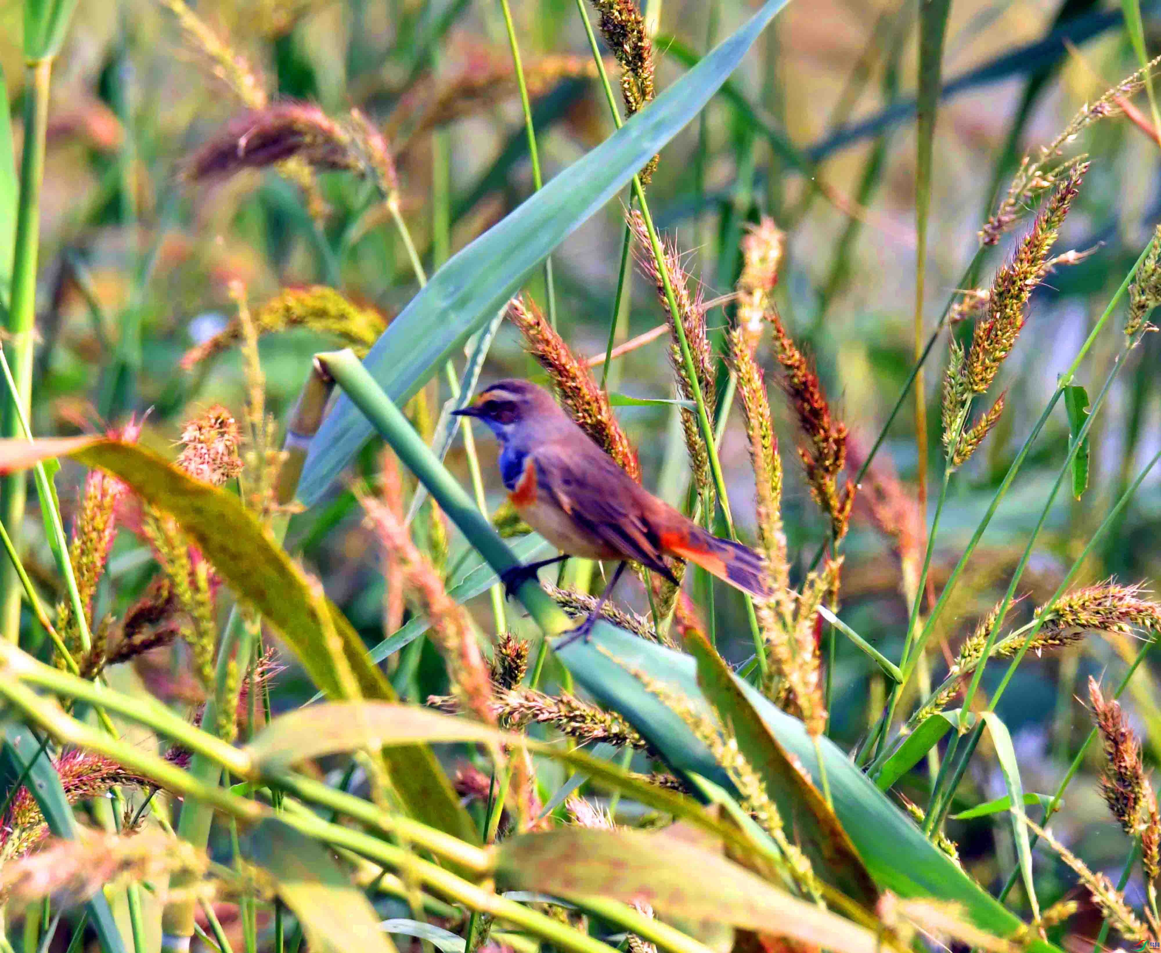 DSC_6298.JPG