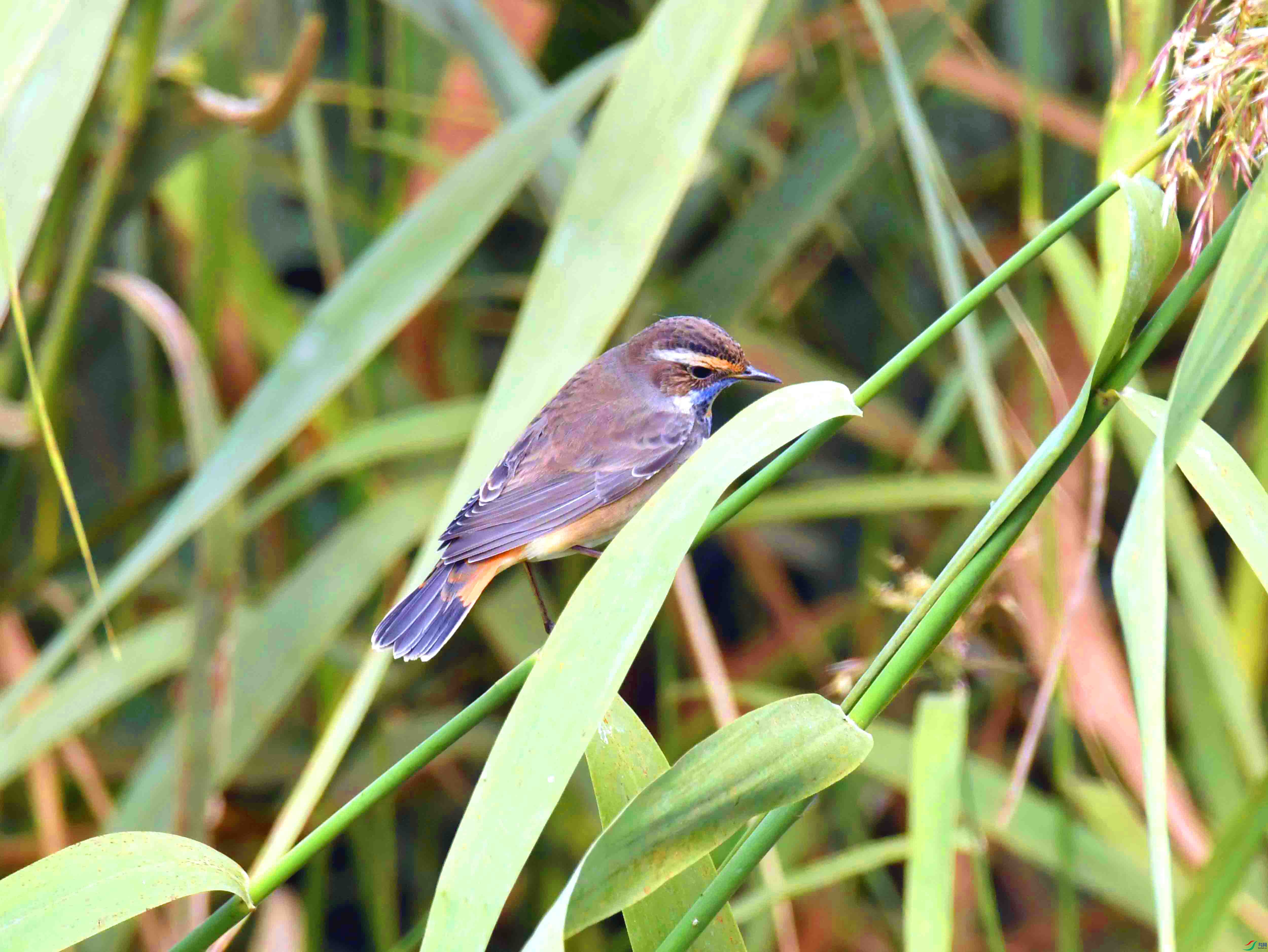 DSC_8254.JPG