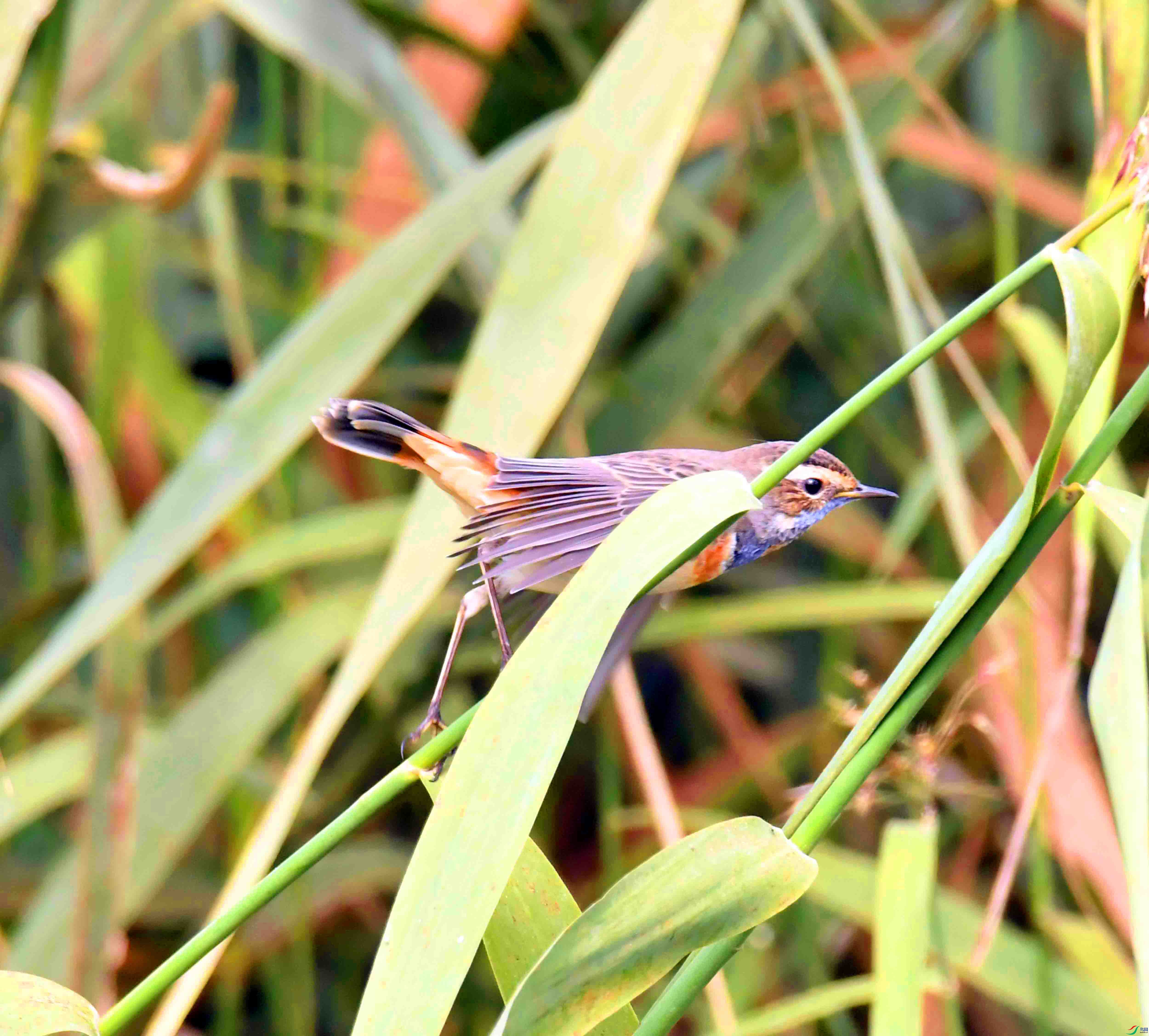 DSC_8255.JPG