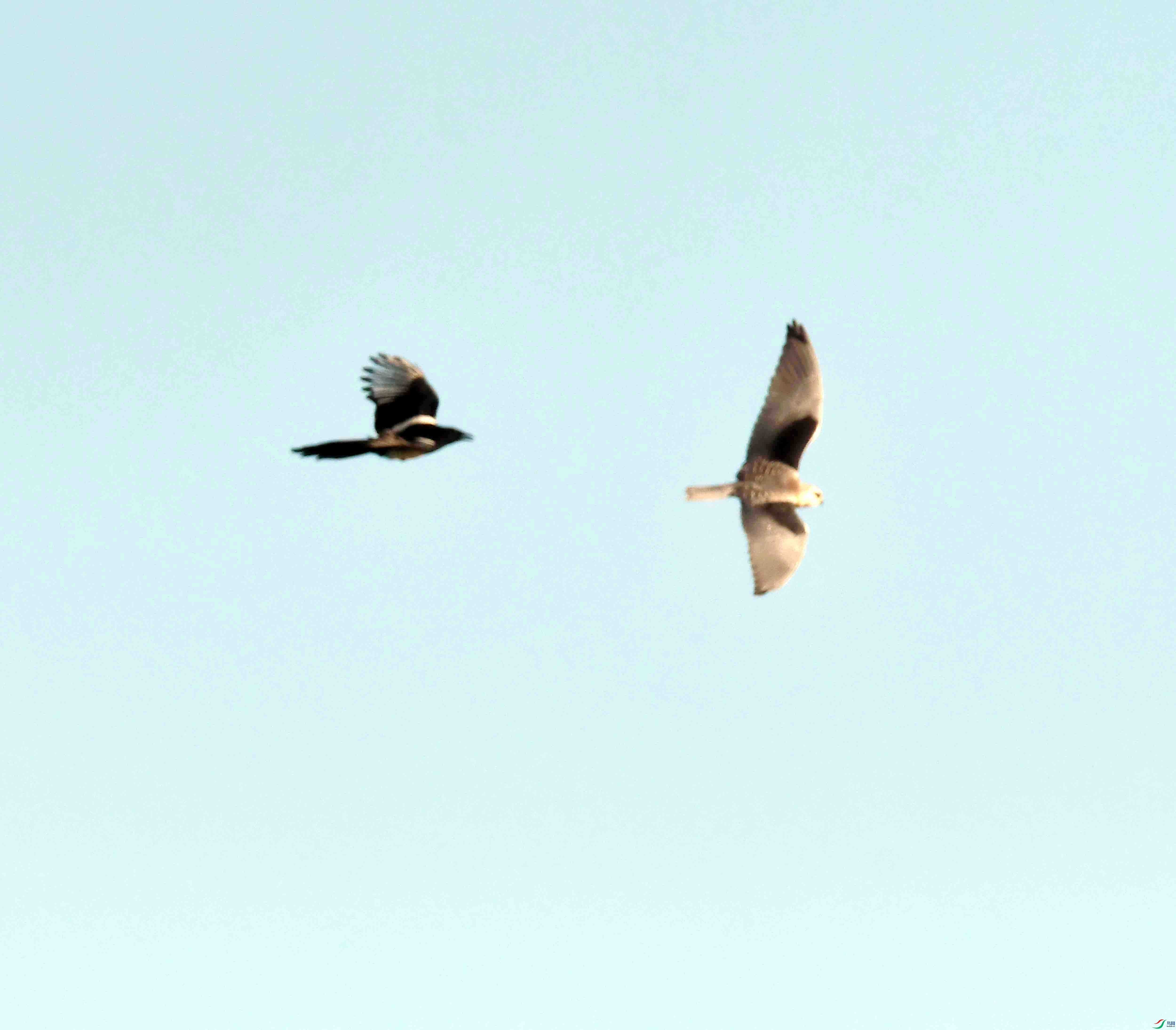 DSC_1569.JPG