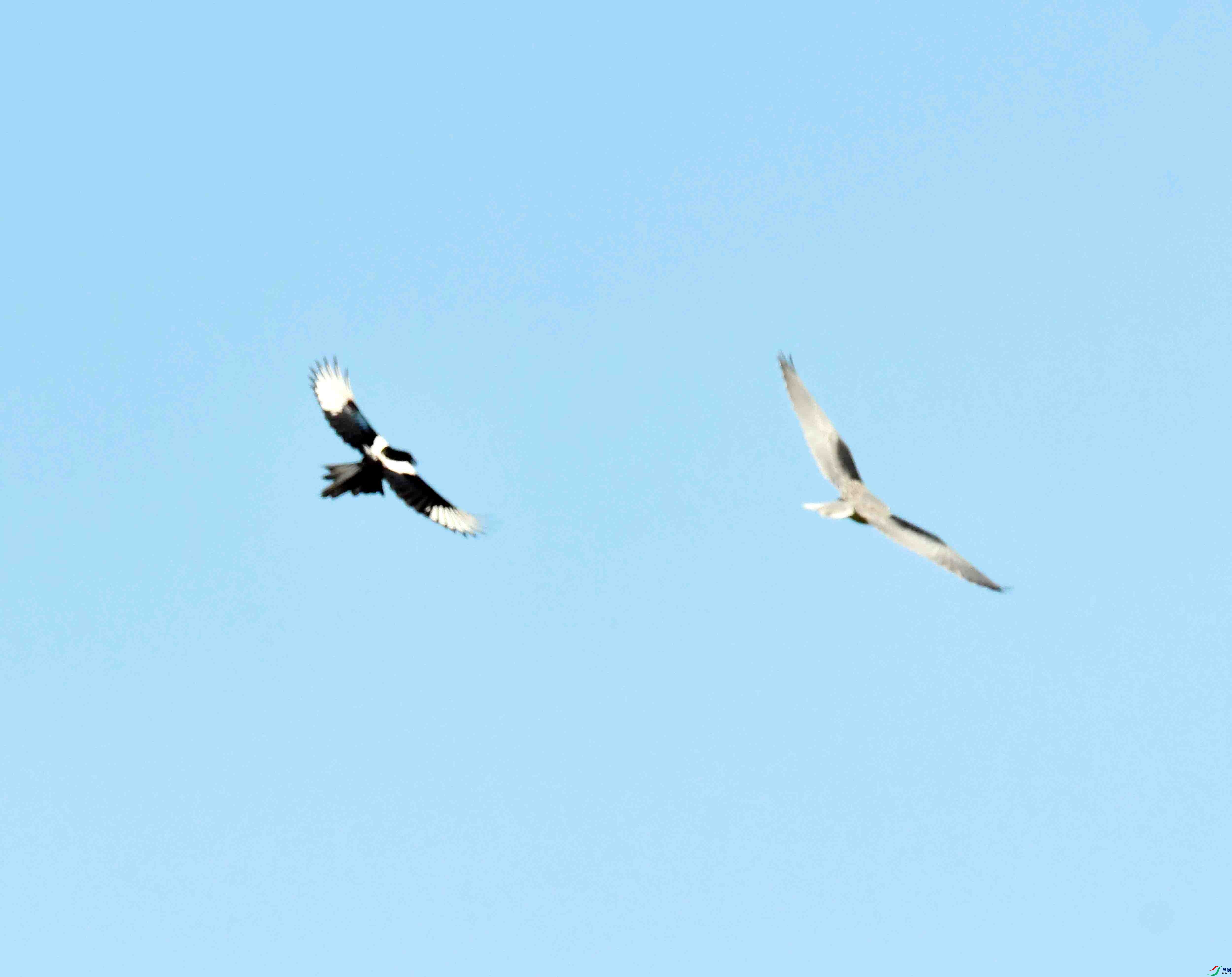 DSC_1568.JPG
