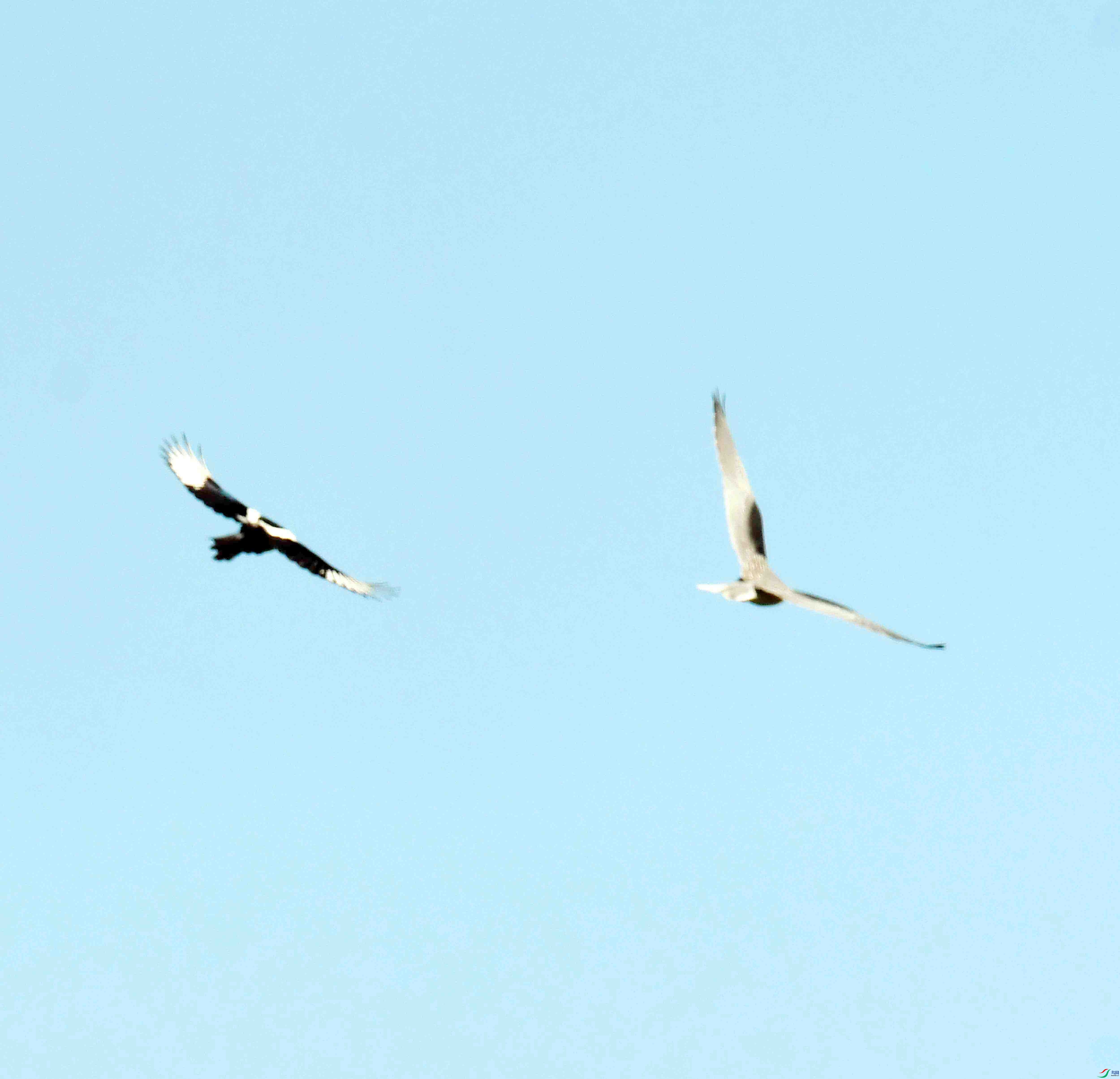 DSC_1567.JPG