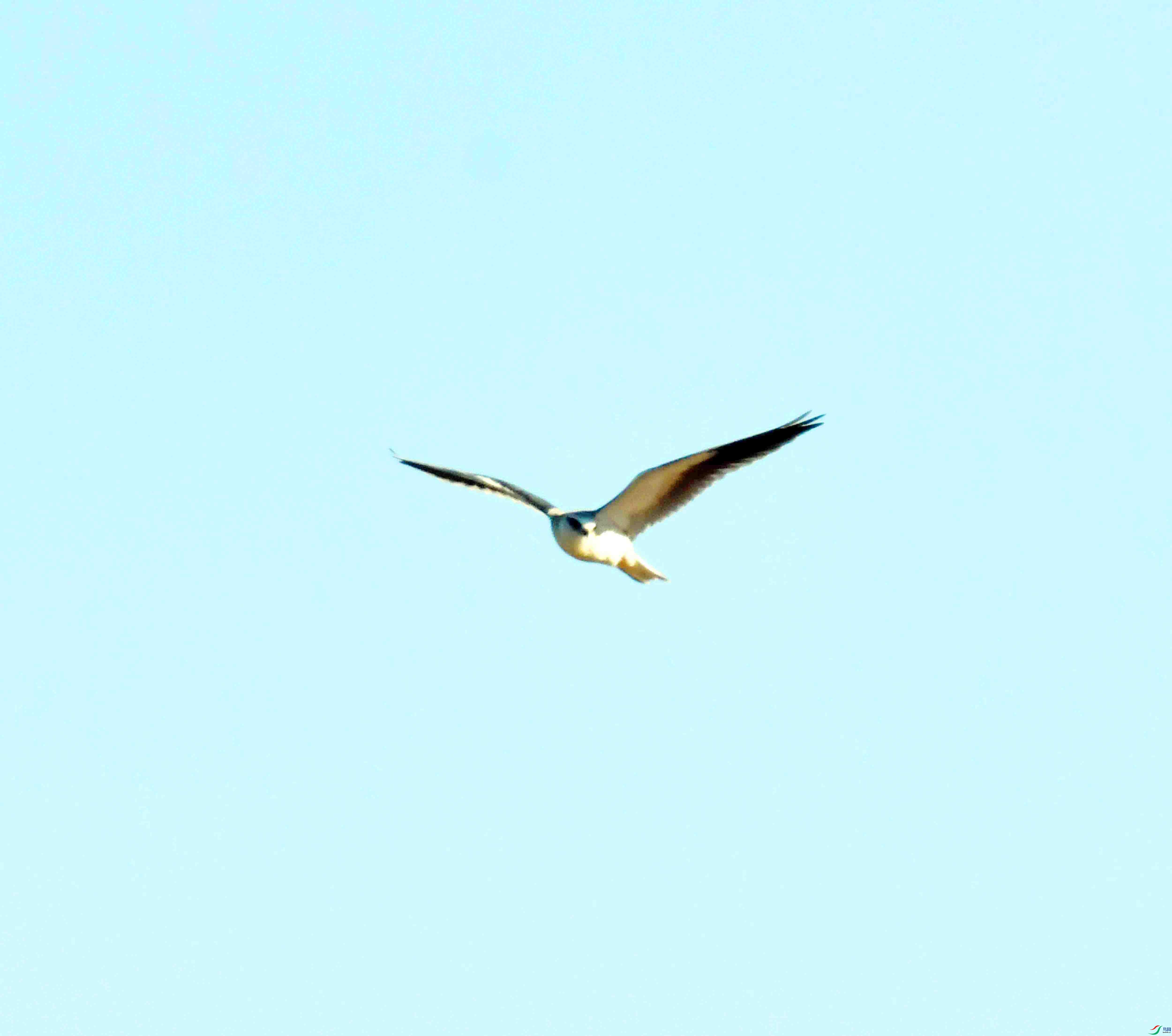 DSC_1572.JPG