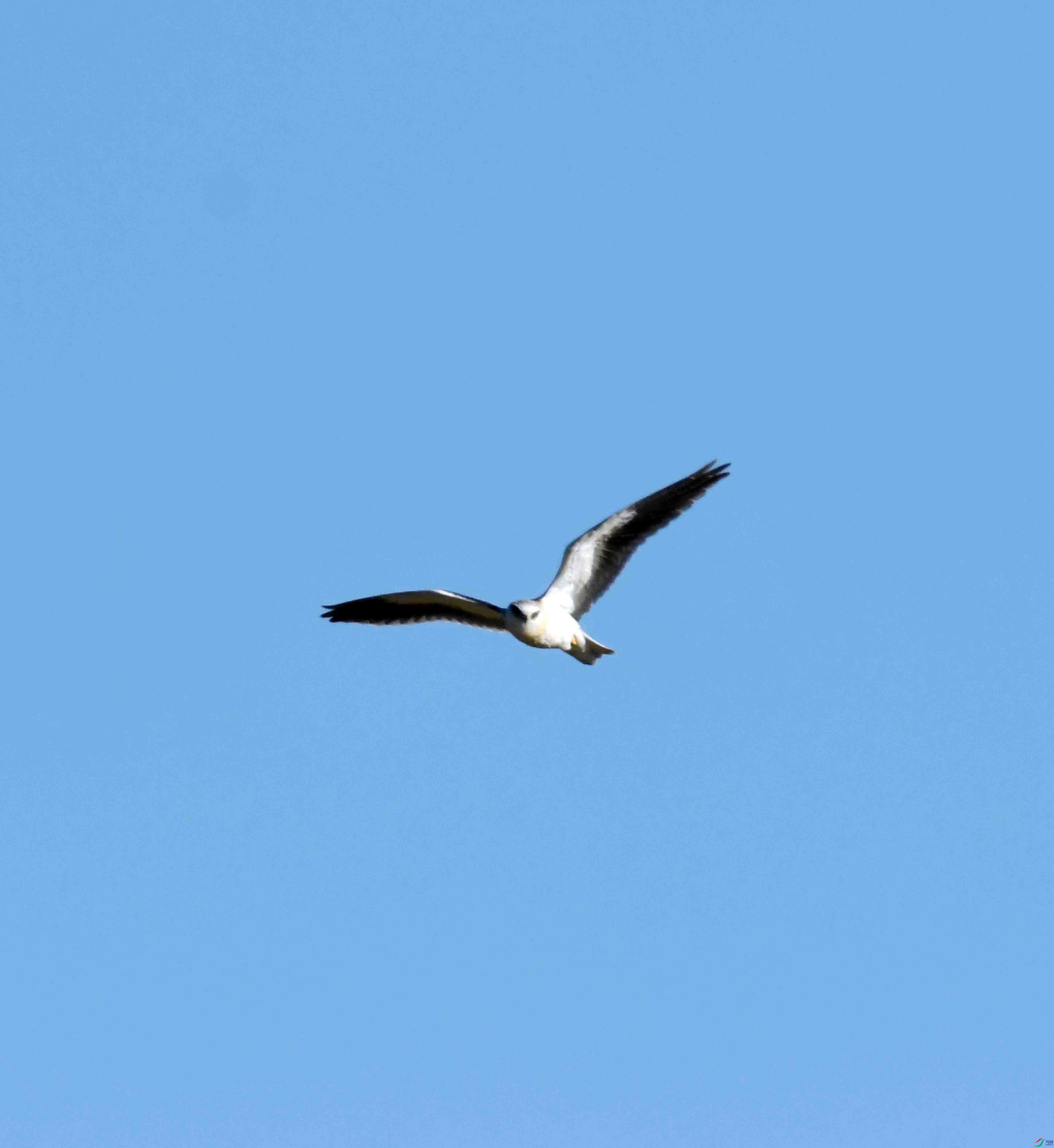 DSC_1571.JPG
