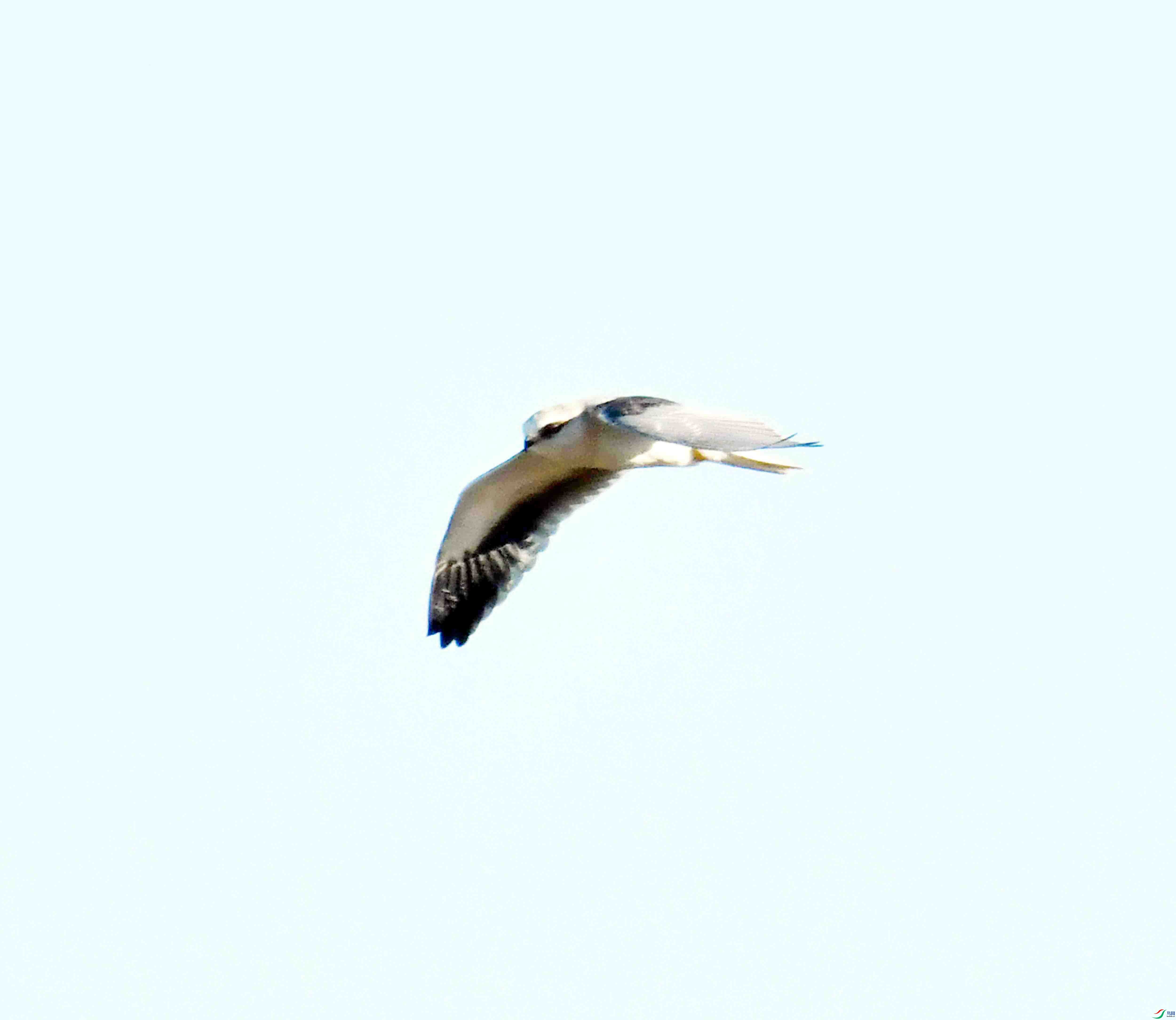 DSC_1574.JPG
