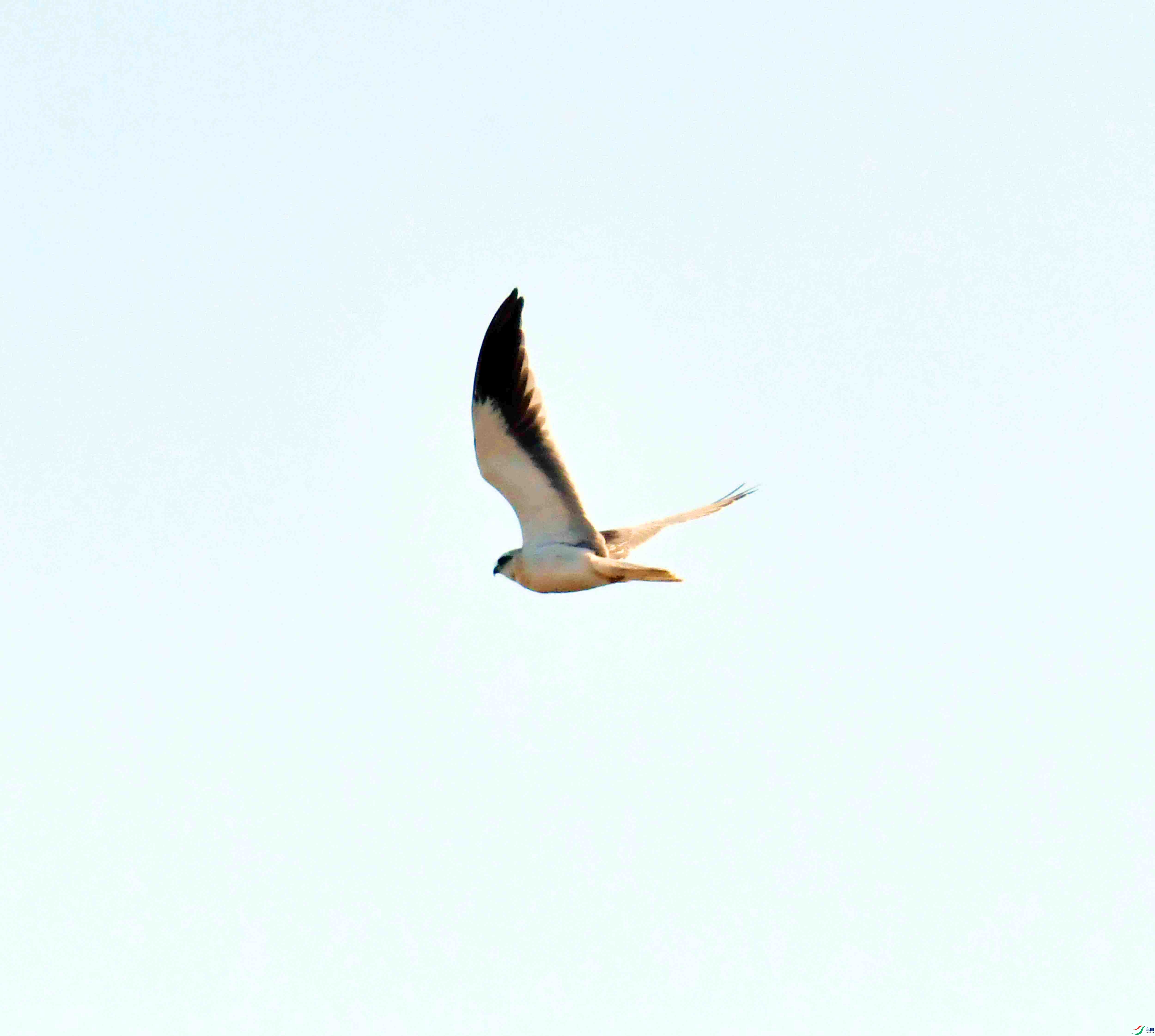 DSC_1578.JPG