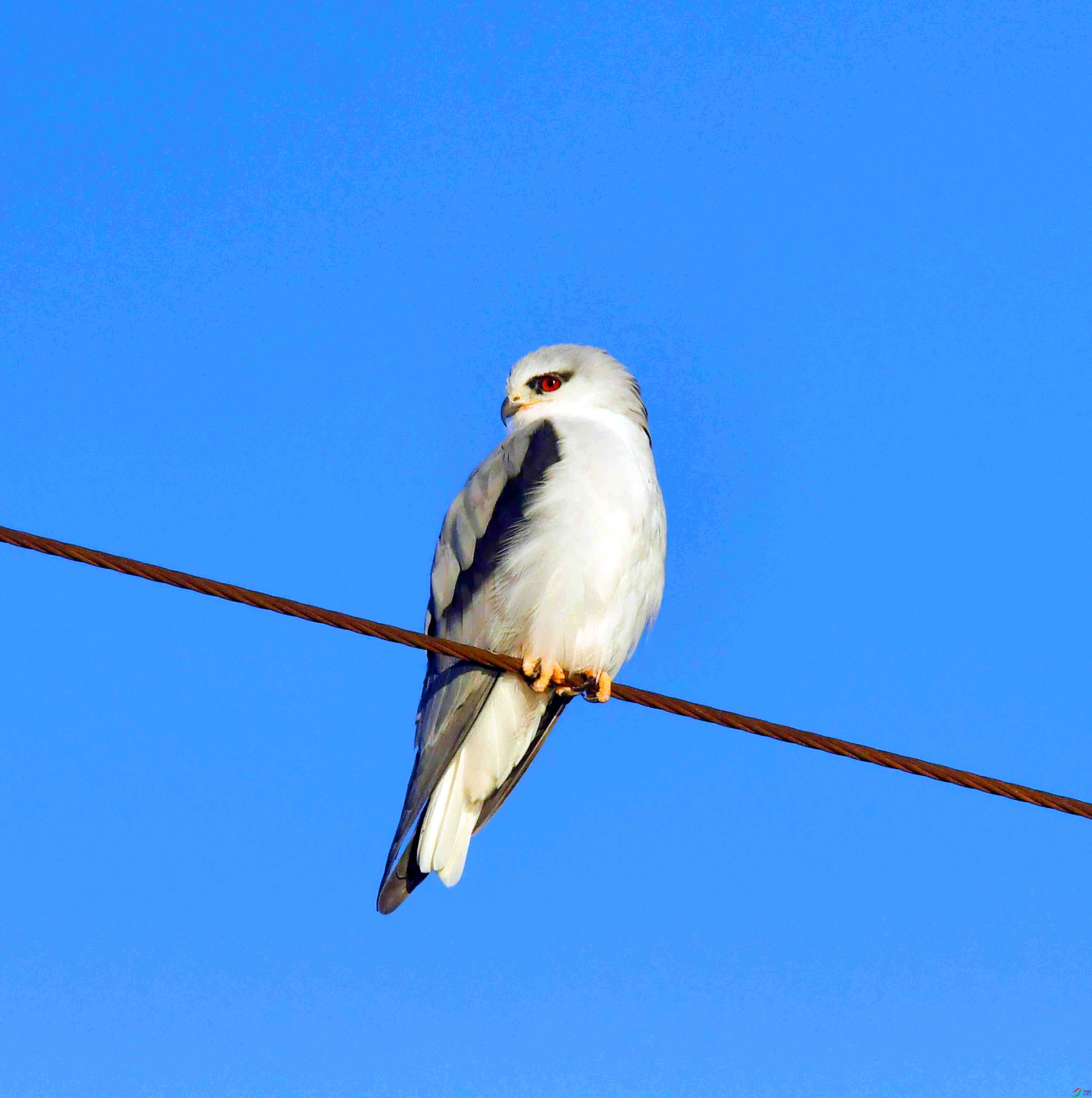DSC_2301.JPG