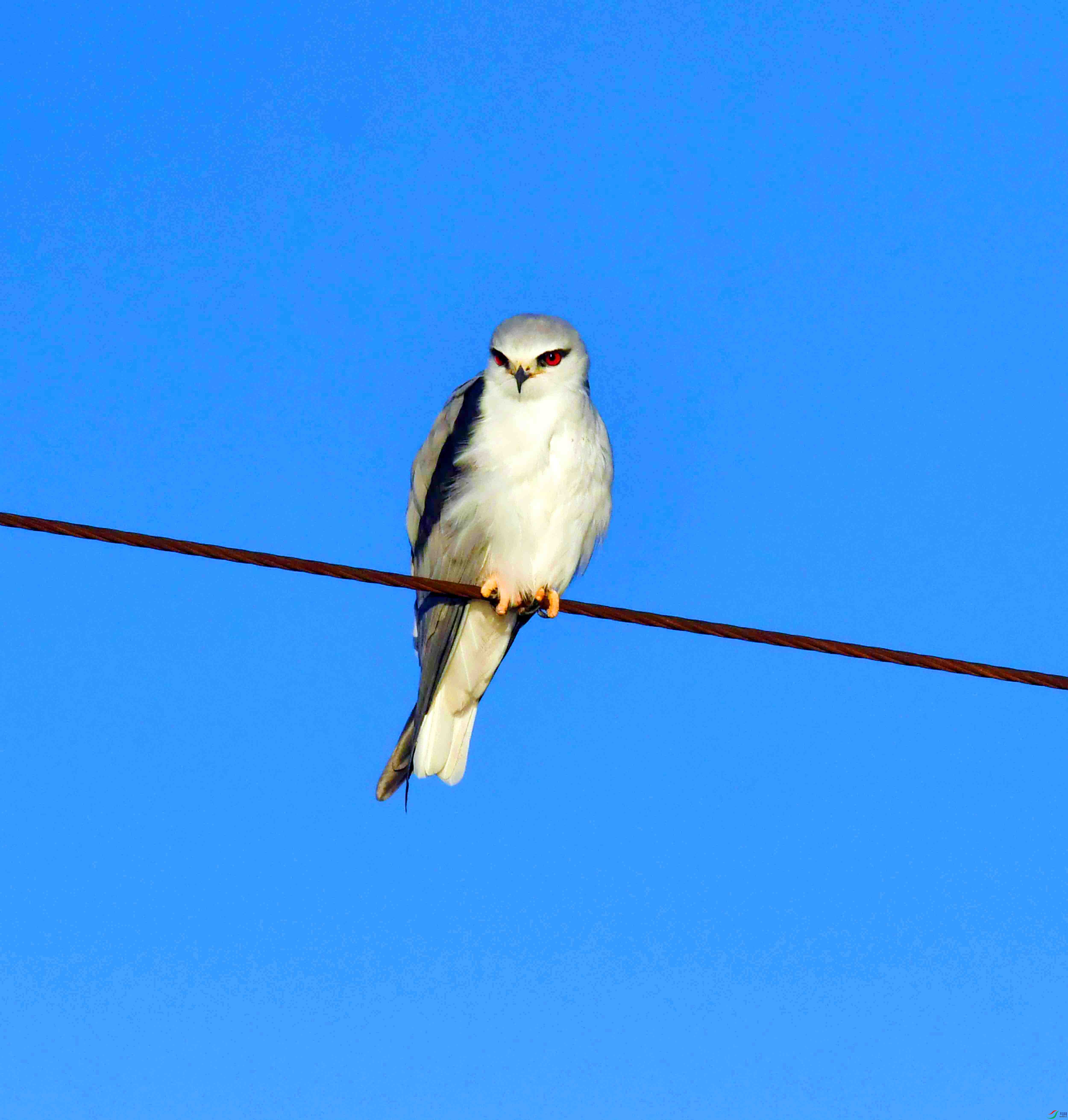 DSC_2282.JPG