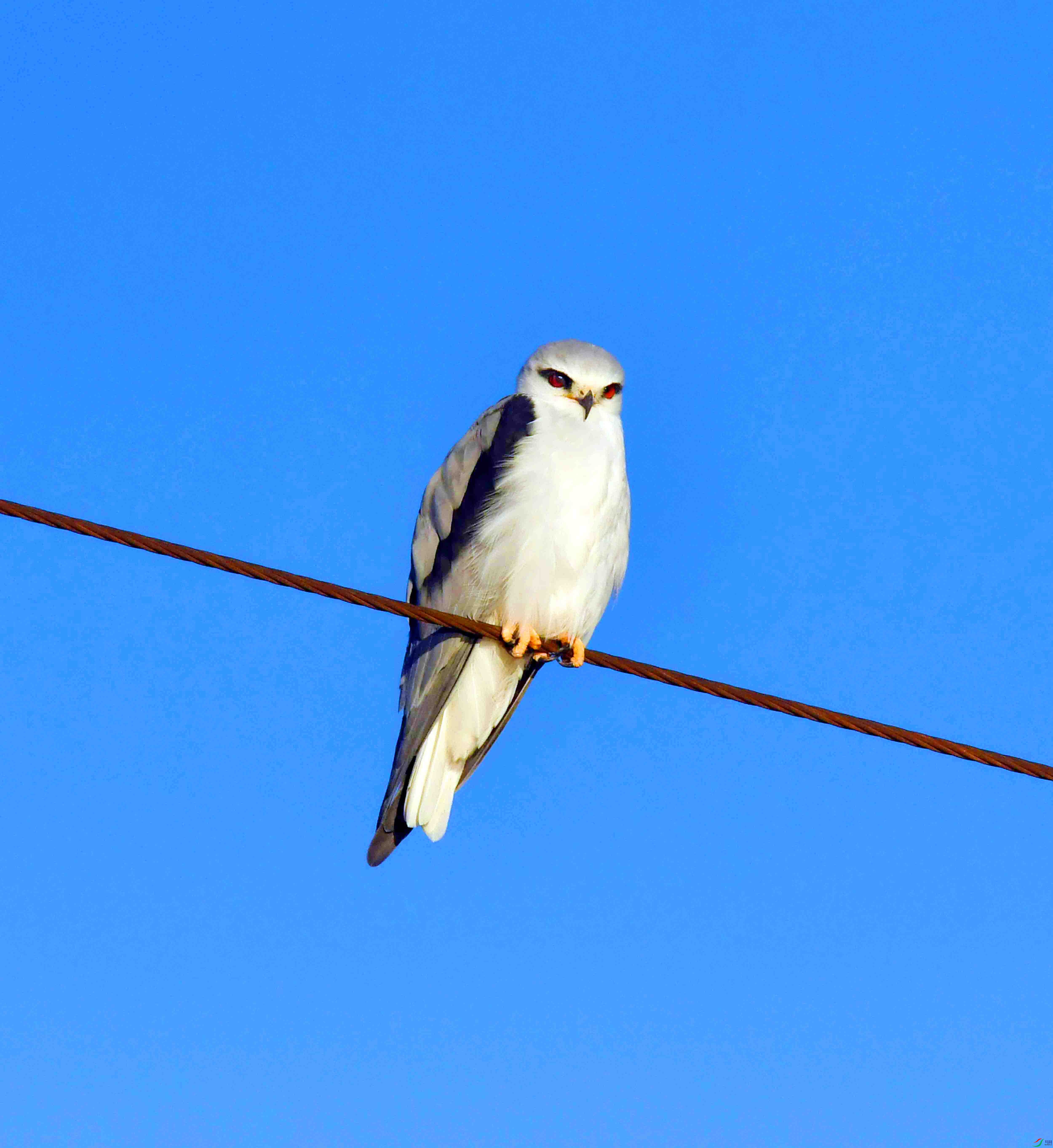 DSC_2305.JPG