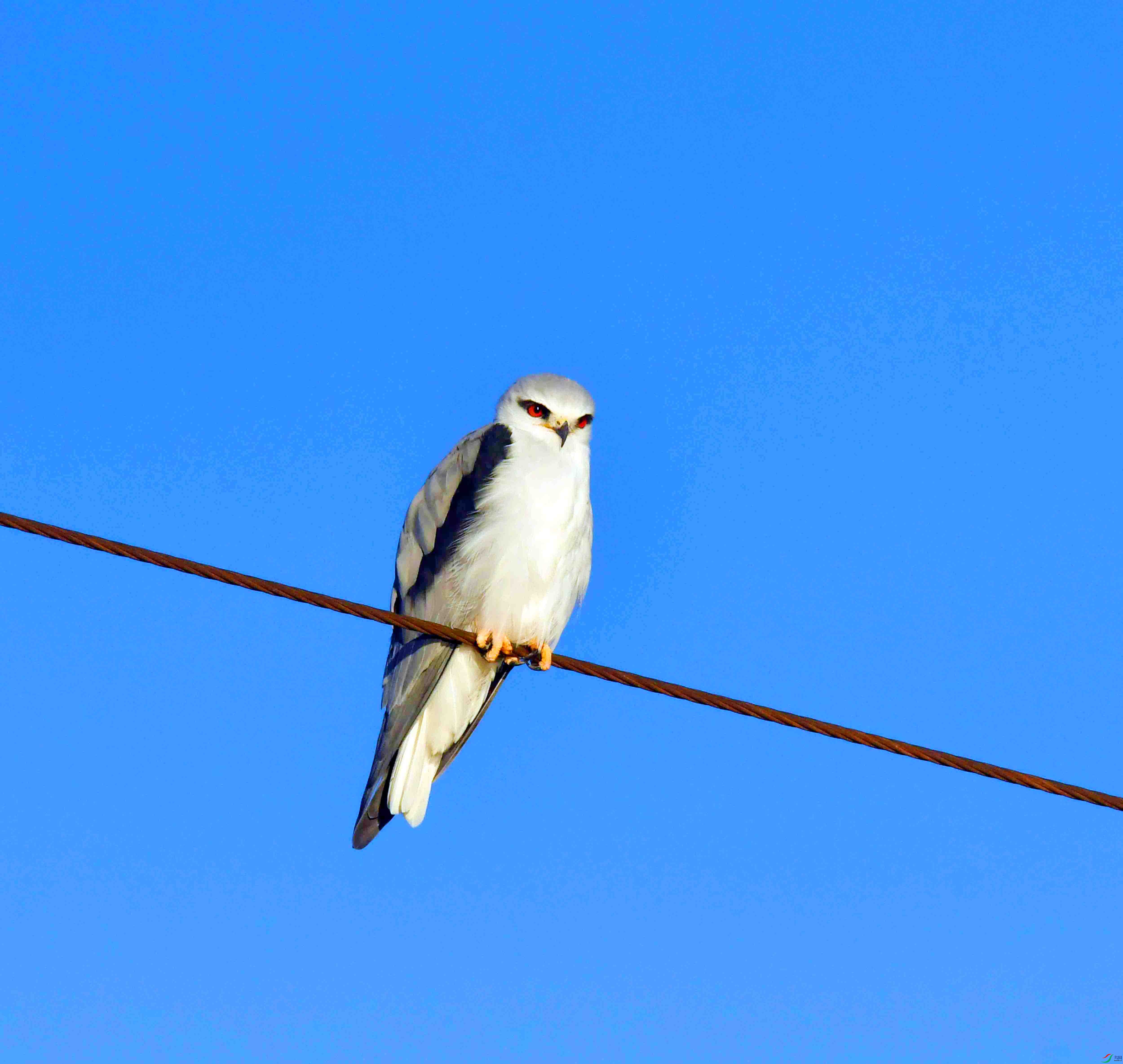 DSC_2307.JPG