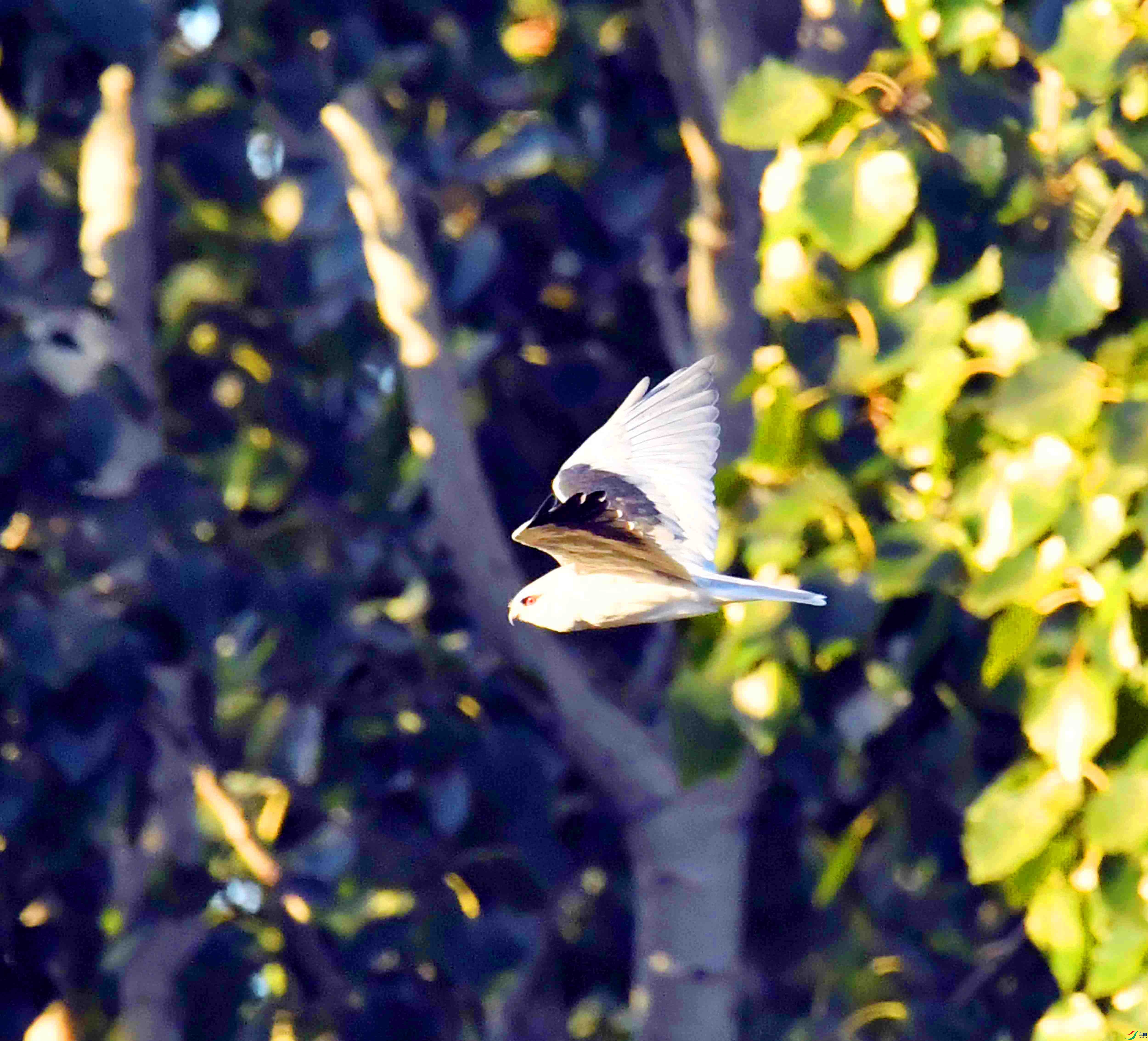 DSC_2348.JPG