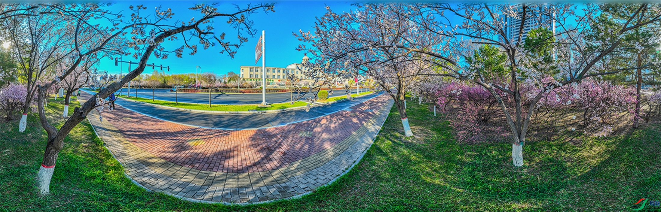 dji_fly_20240427_065008_868_1714297045595_pano ����2.jpg