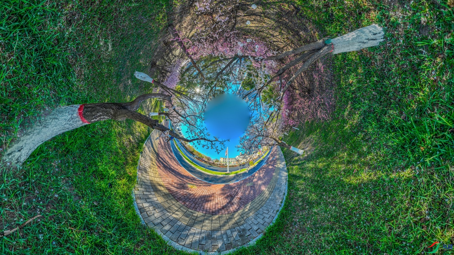 dji_export_20240428_173721_1714297041902_sphere_screenshot ����1.jpg