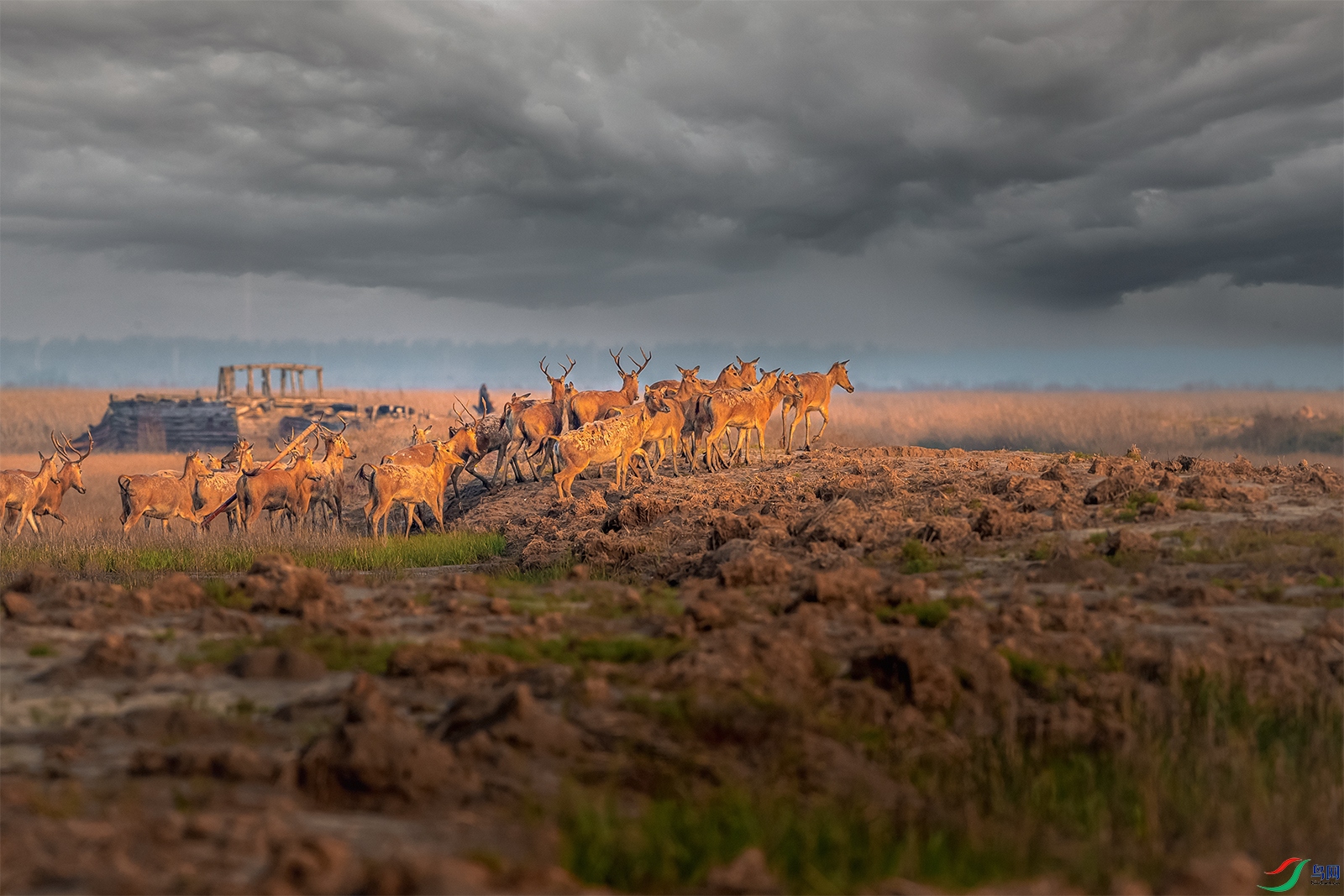 ��¹----��������ĺ��·