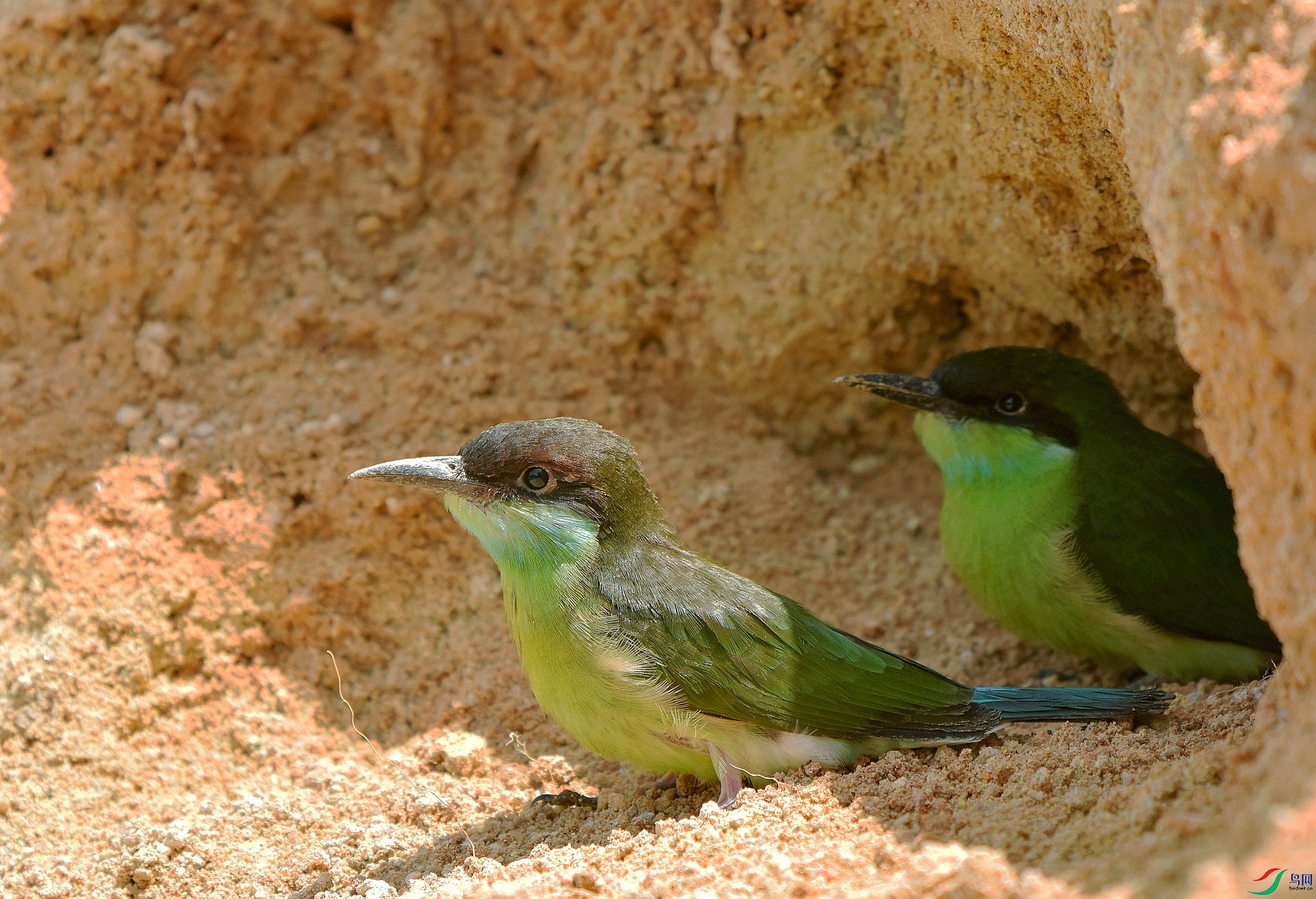 D72_3554.jpg