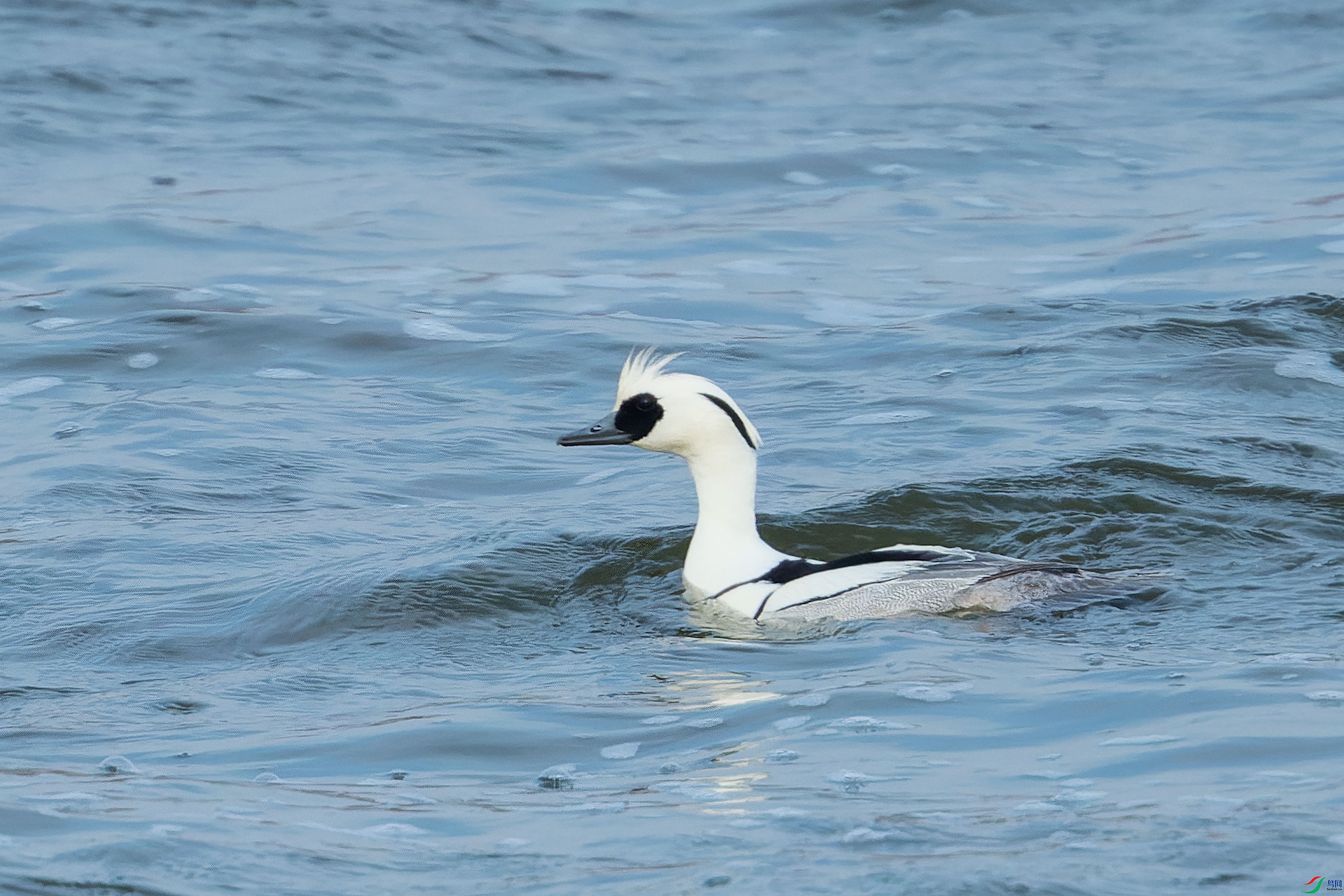 DSC_0791.jpg