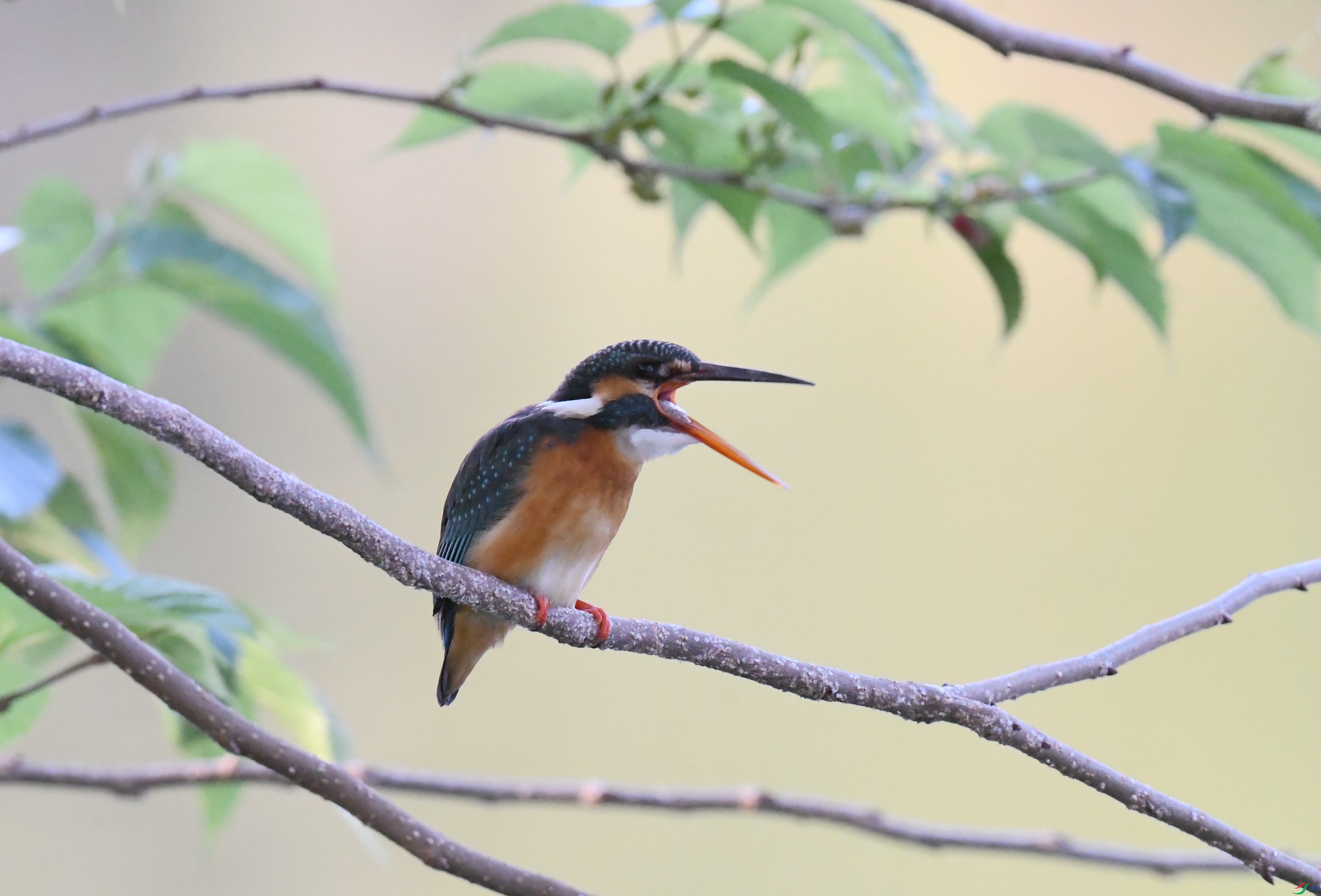 �������� ̨��.JPG