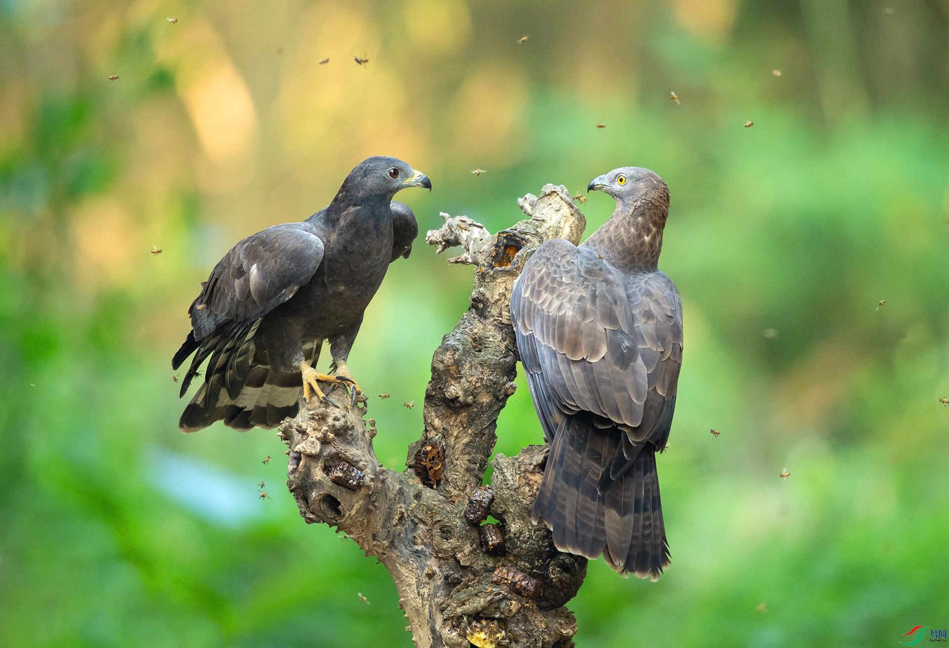 ��DSC_8726 ��ؐ.jpg