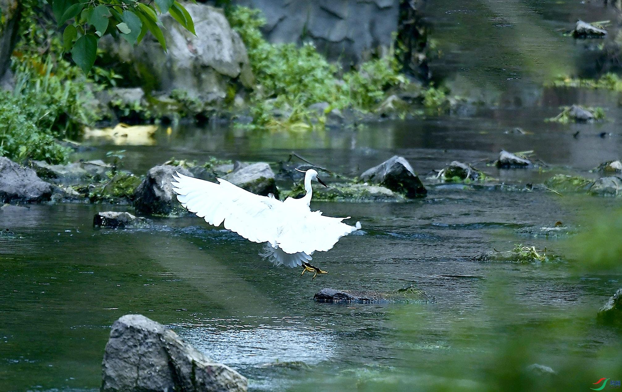 _DSC5480.jpg