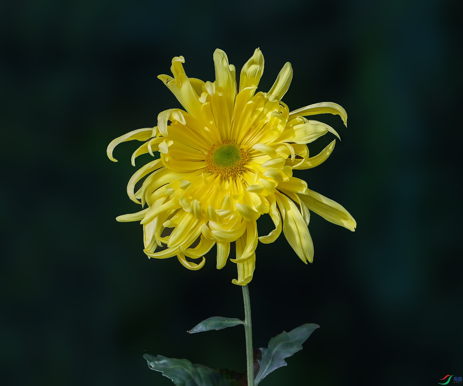 0000583A0607�ƴ��� 1000k.jpg