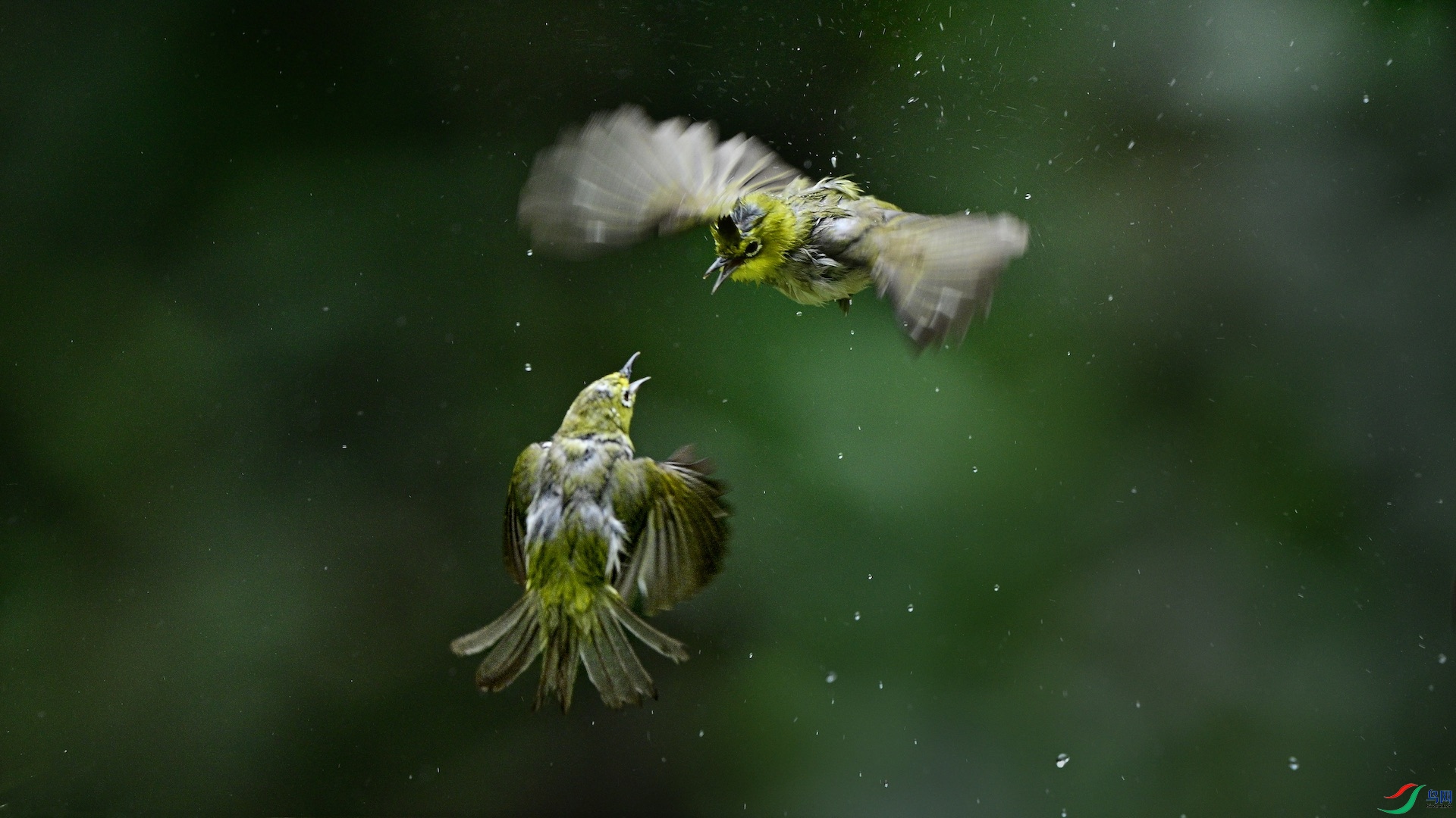 1_XXL0224 ����.jpeg